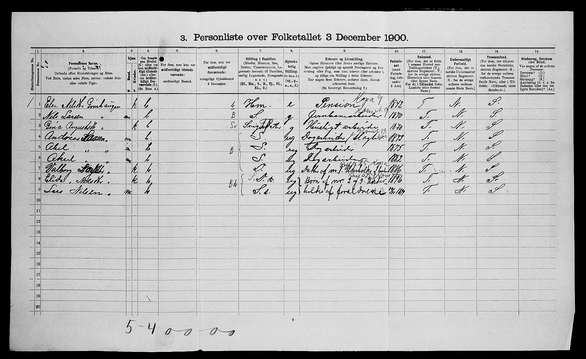 SAO, 1900 census for Nes, 1900