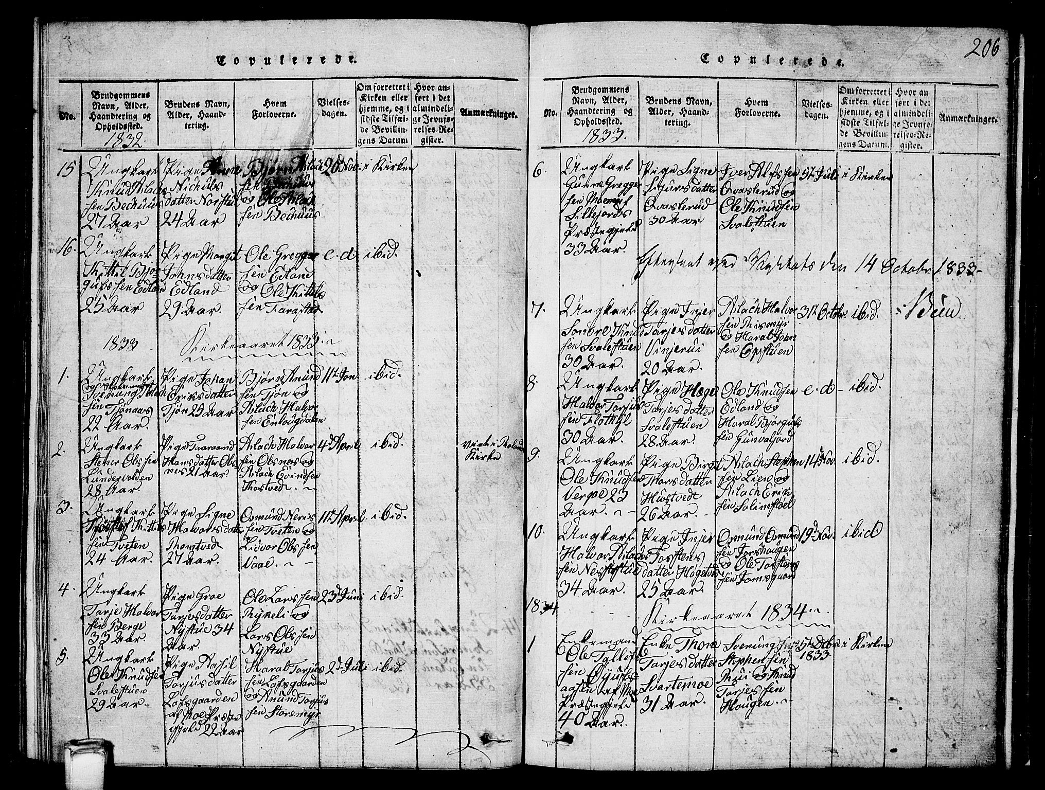 Vinje kirkebøker, SAKO/A-312/G/Ga/L0001: Parish register (copy) no. I 1, 1814-1843, p. 206