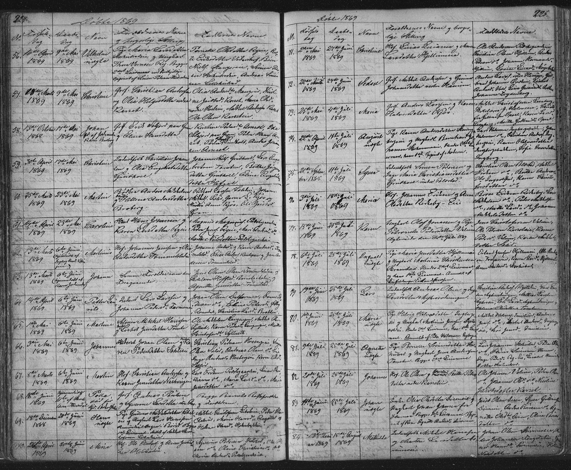 Vang prestekontor, Hedmark, AV/SAH-PREST-008/H/Ha/Hab/L0010A: Parish register (copy) no. 10a, 1854-1896, p. 224-225