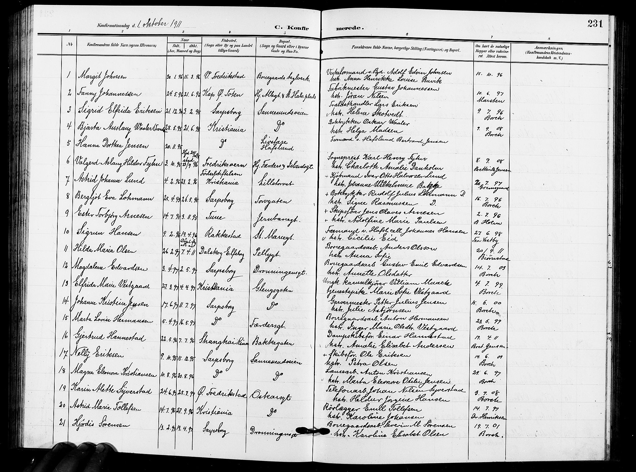 Sarpsborg prestekontor Kirkebøker, AV/SAO-A-2006/G/Ga/L0001: Parish register (copy) no. 1, 1902-1911, p. 231