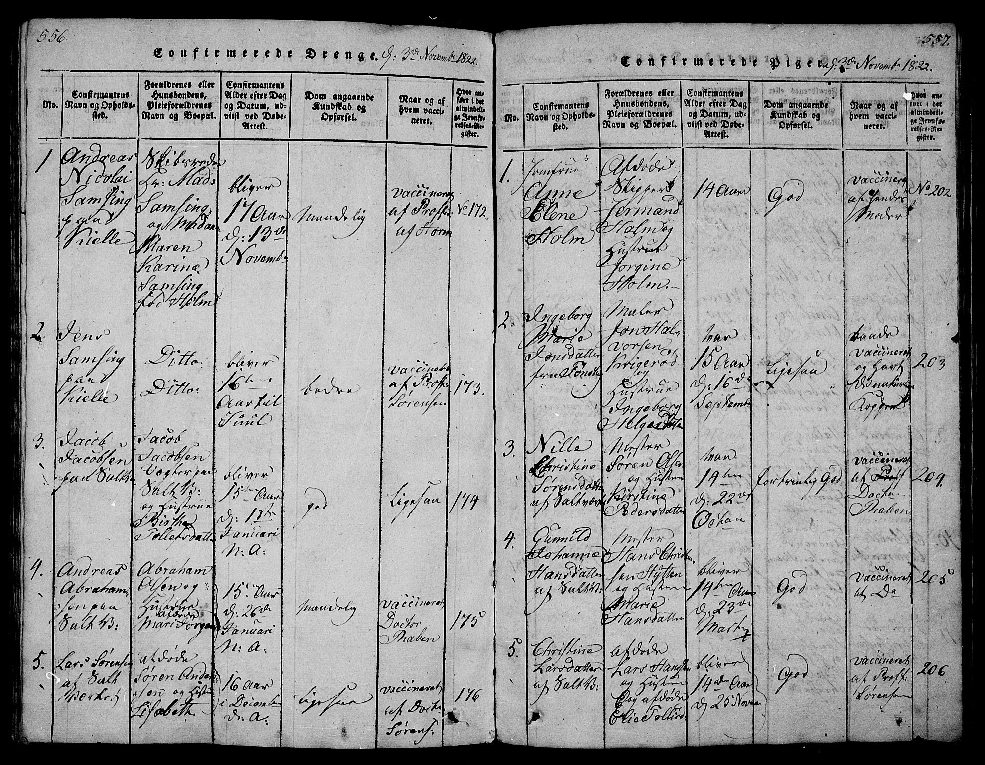 Sem kirkebøker, AV/SAKO-A-5/G/Ga/L0001: Parish register (copy) no. I 1, 1814-1825, p. 556-557