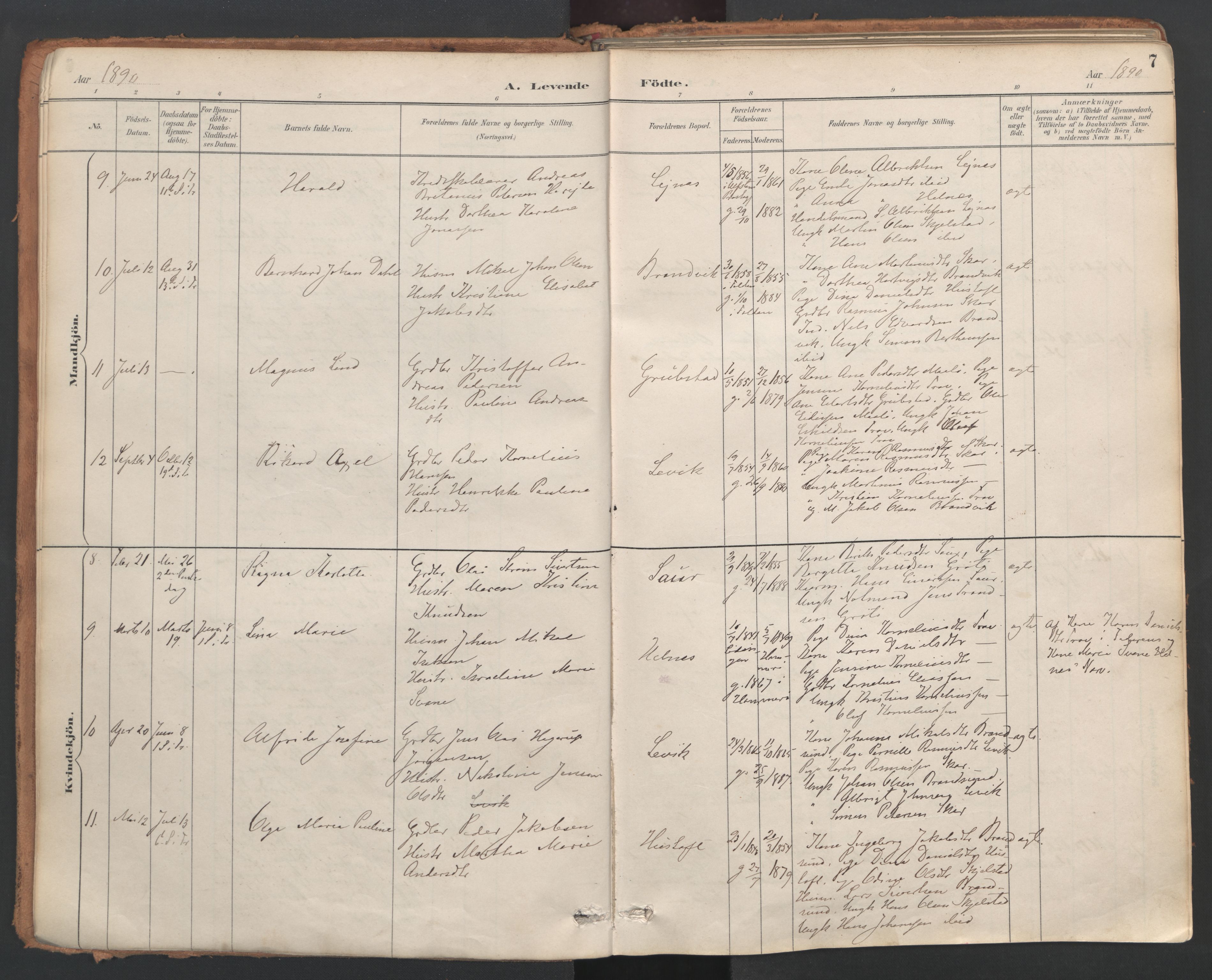 Ministerialprotokoller, klokkerbøker og fødselsregistre - Nordland, AV/SAT-A-1459/857/L0822: Parish register (official) no. 857A02, 1890-1917, p. 7