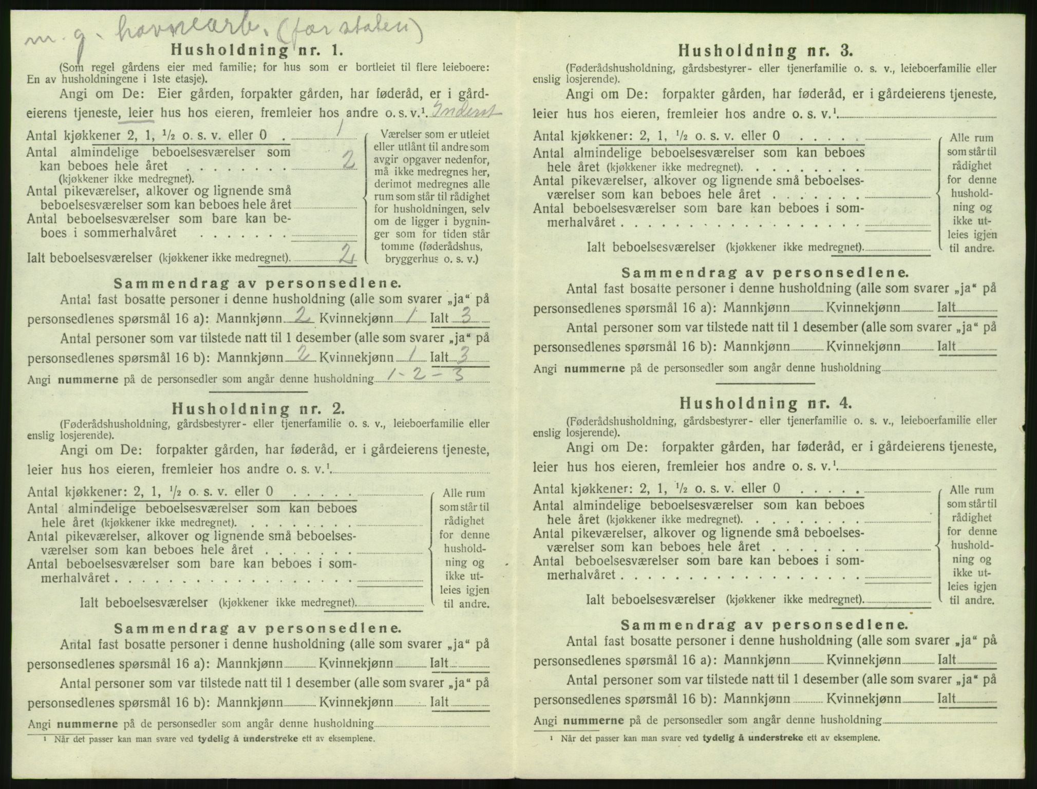 SAT, 1920 census for Sunnylven, 1920, p. 113