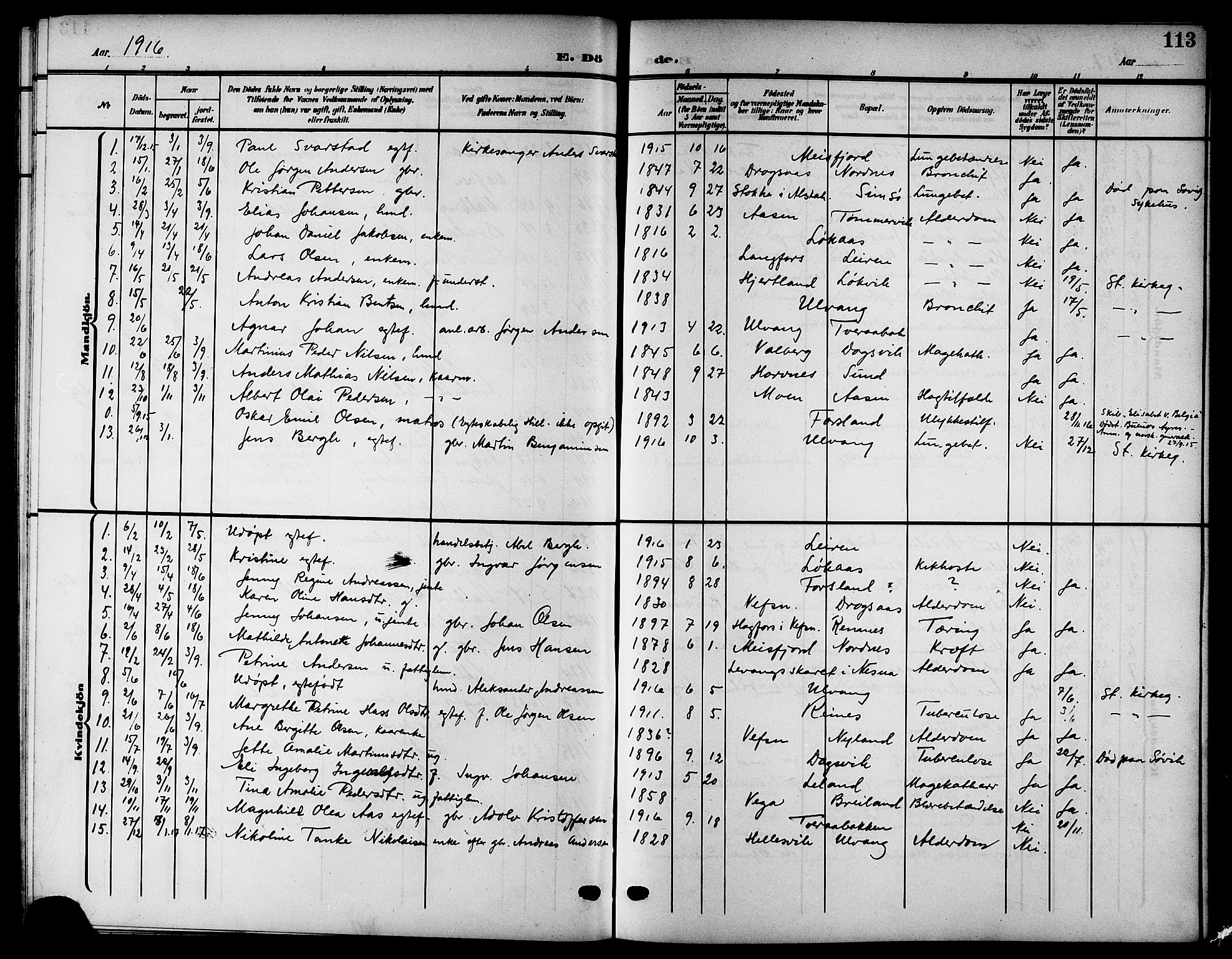 Ministerialprotokoller, klokkerbøker og fødselsregistre - Nordland, SAT/A-1459/832/L0494: Parish register (copy) no. 832C01, 1906-1922, p. 113