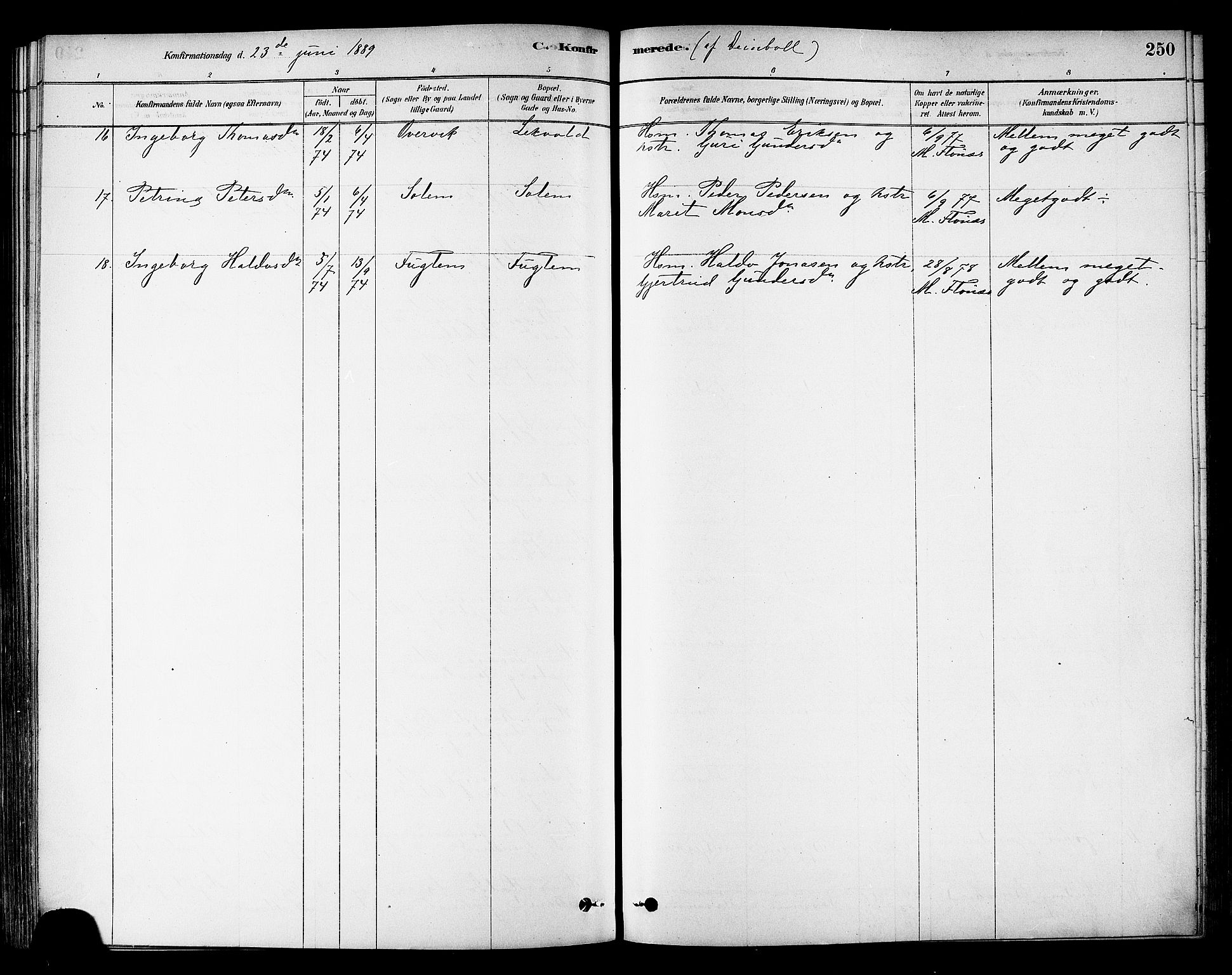 Ministerialprotokoller, klokkerbøker og fødselsregistre - Sør-Trøndelag, AV/SAT-A-1456/695/L1148: Parish register (official) no. 695A08, 1878-1891, p. 250