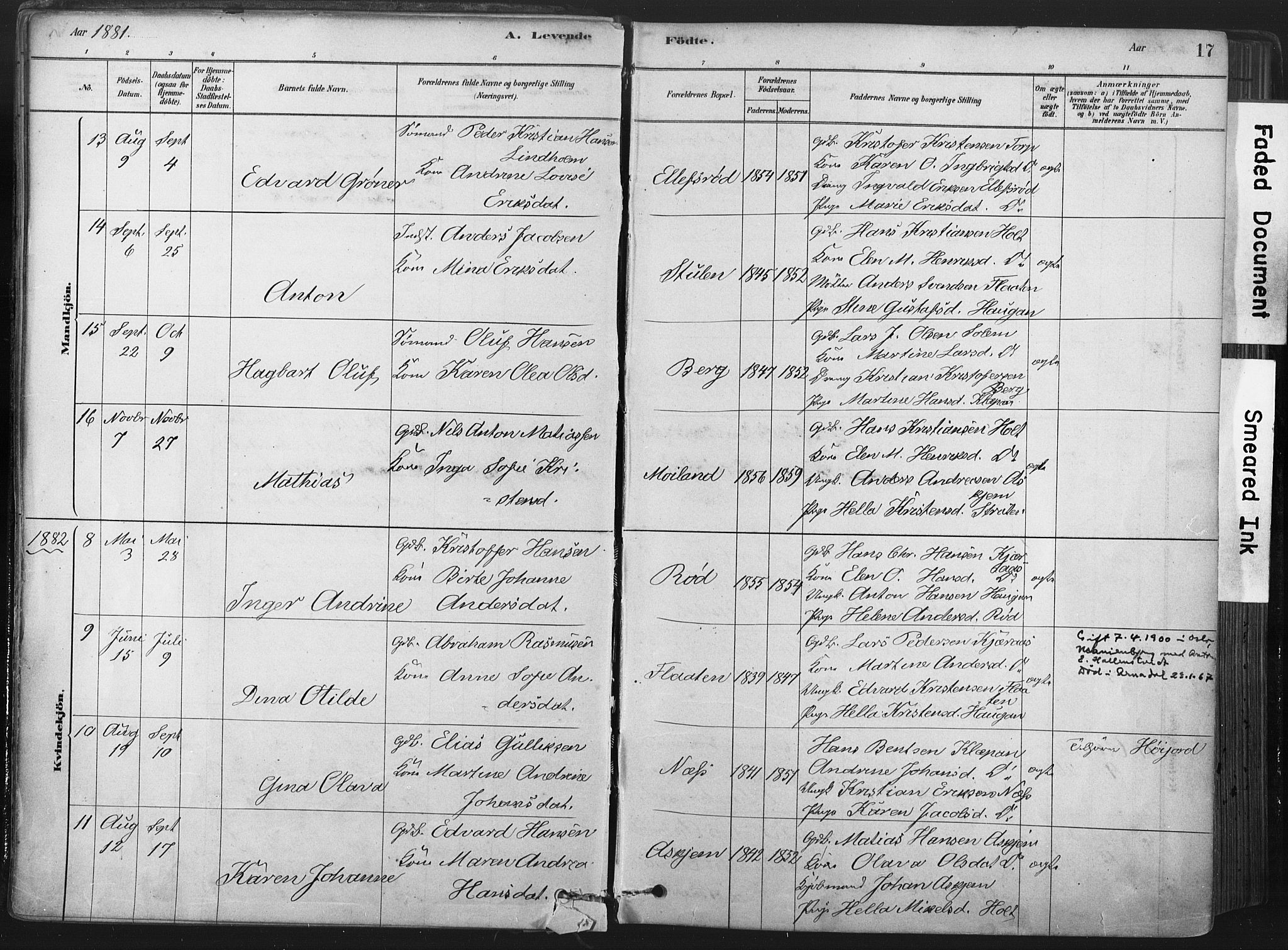 Andebu kirkebøker, AV/SAKO-A-336/F/Fa/L0007: Parish register (official) no. 7, 1878-1899, p. 17