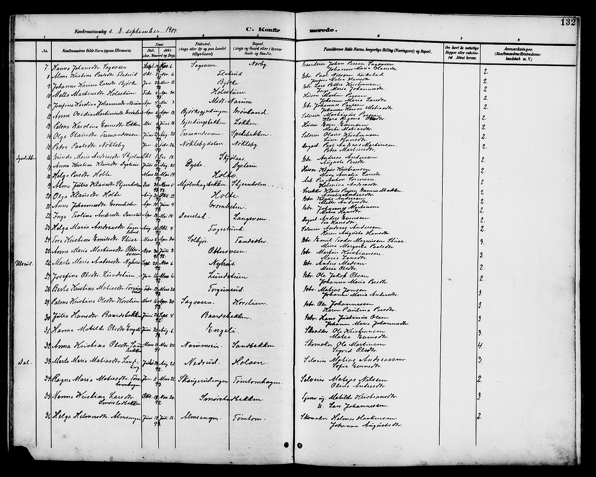 Vestre Toten prestekontor, AV/SAH-PREST-108/H/Ha/Hab/L0011: Parish register (copy) no. 11, 1901-1911, p. 132