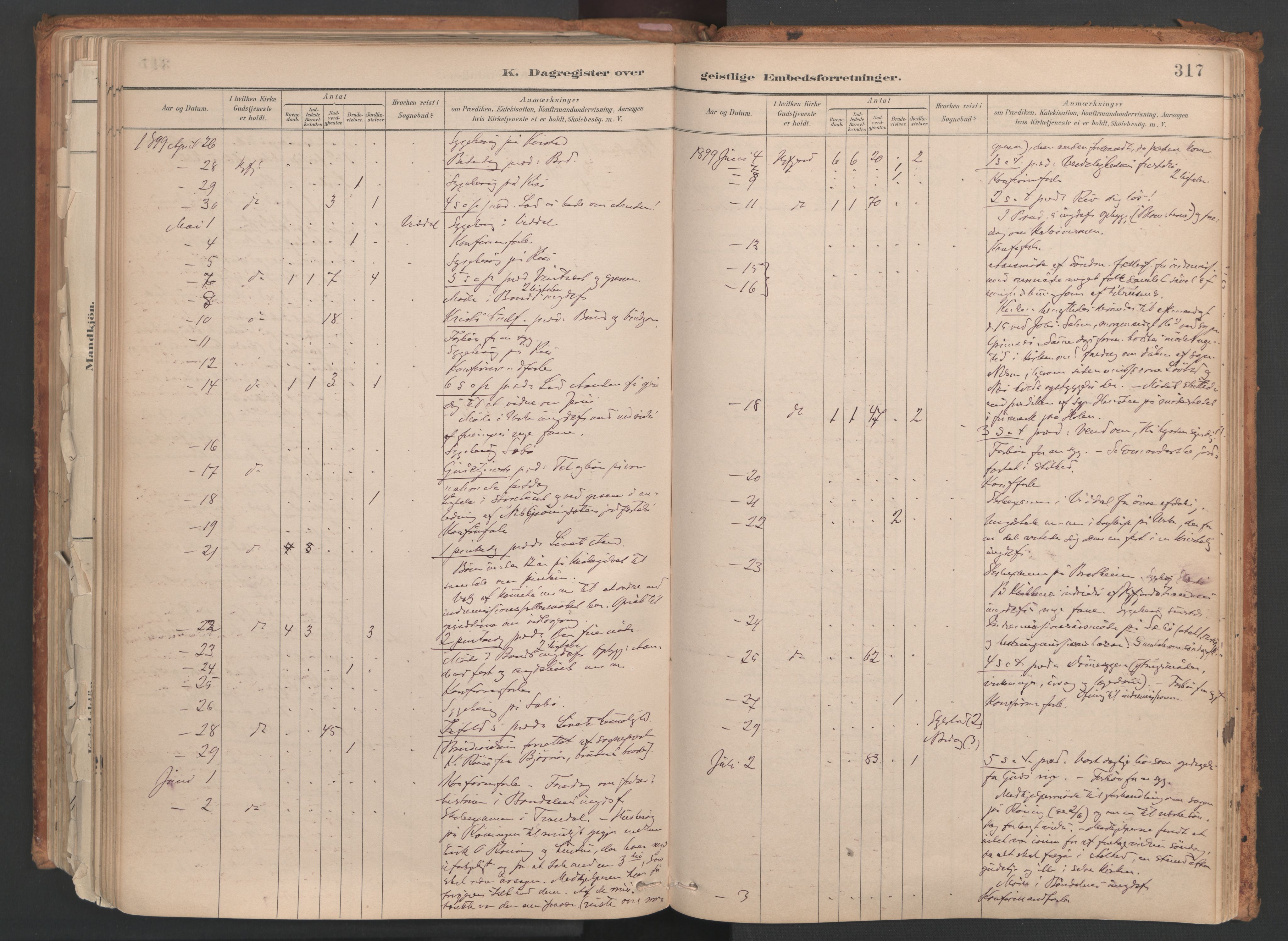 Ministerialprotokoller, klokkerbøker og fødselsregistre - Møre og Romsdal, SAT/A-1454/515/L0211: Parish register (official) no. 515A07, 1886-1910, p. 317