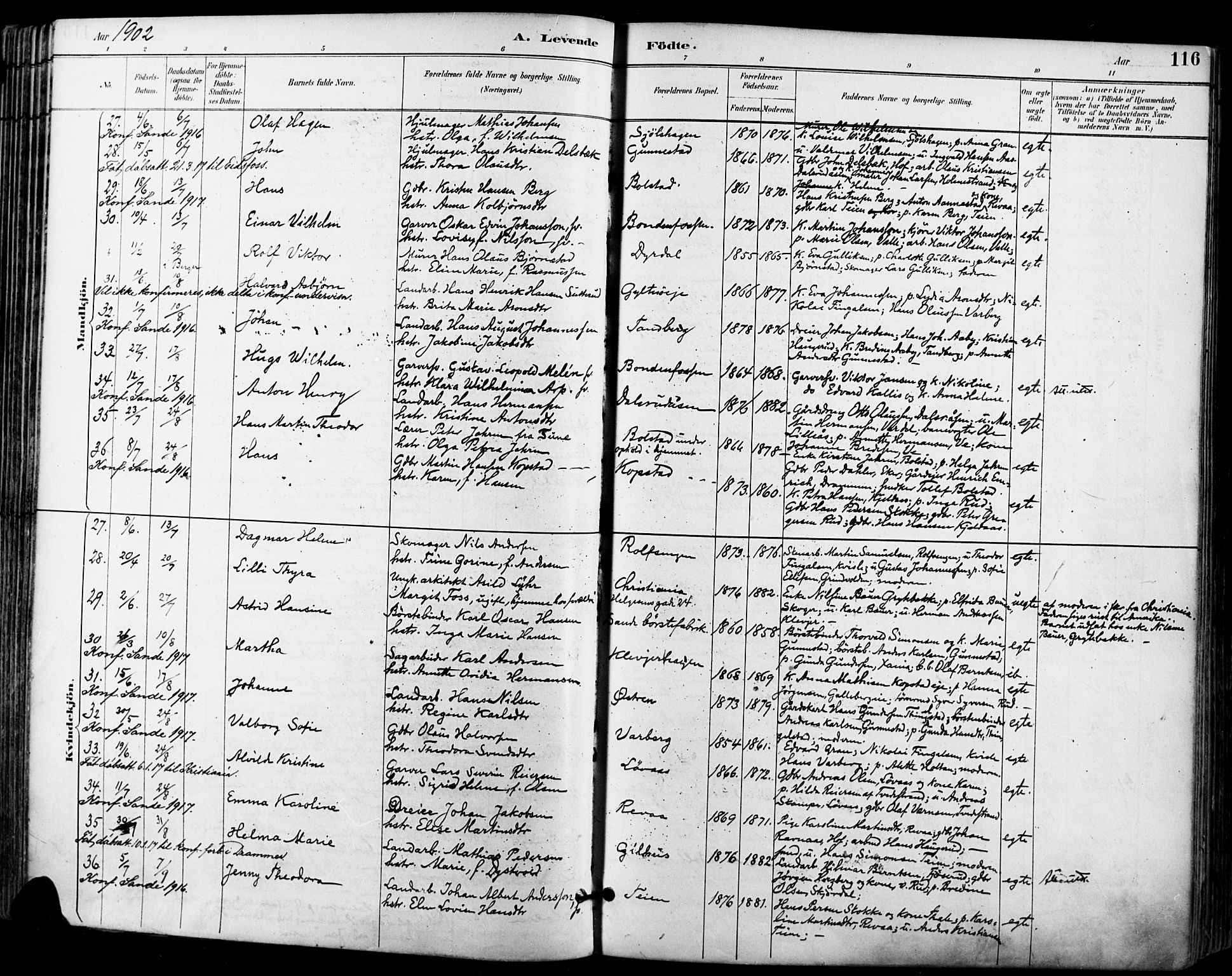 Sande Kirkebøker, AV/SAKO-A-53/F/Fa/L0007: Parish register (official) no. 7, 1888-1903, p. 116