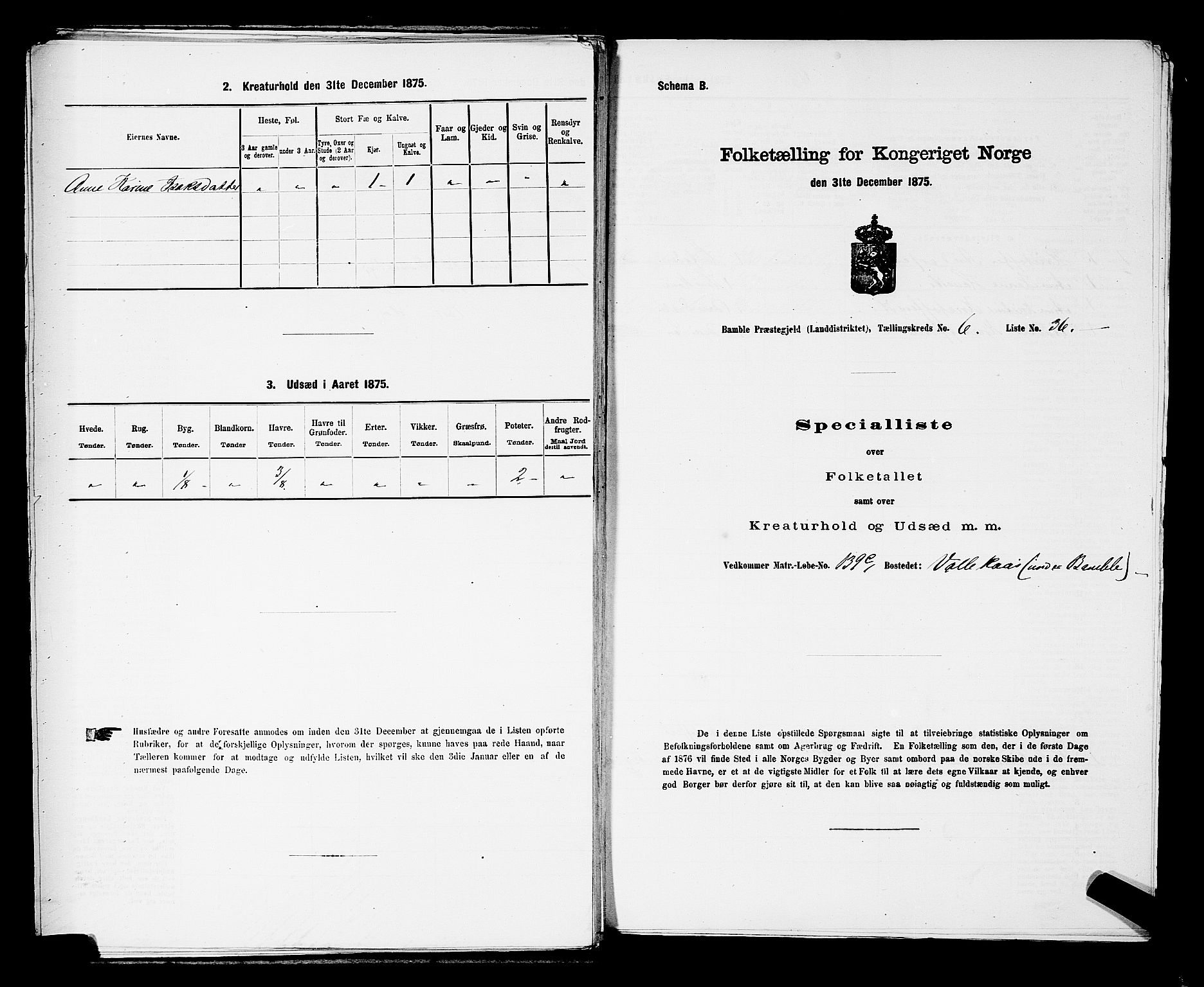 SAKO, 1875 census for 0814L Bamble/Bamble, 1875, p. 932