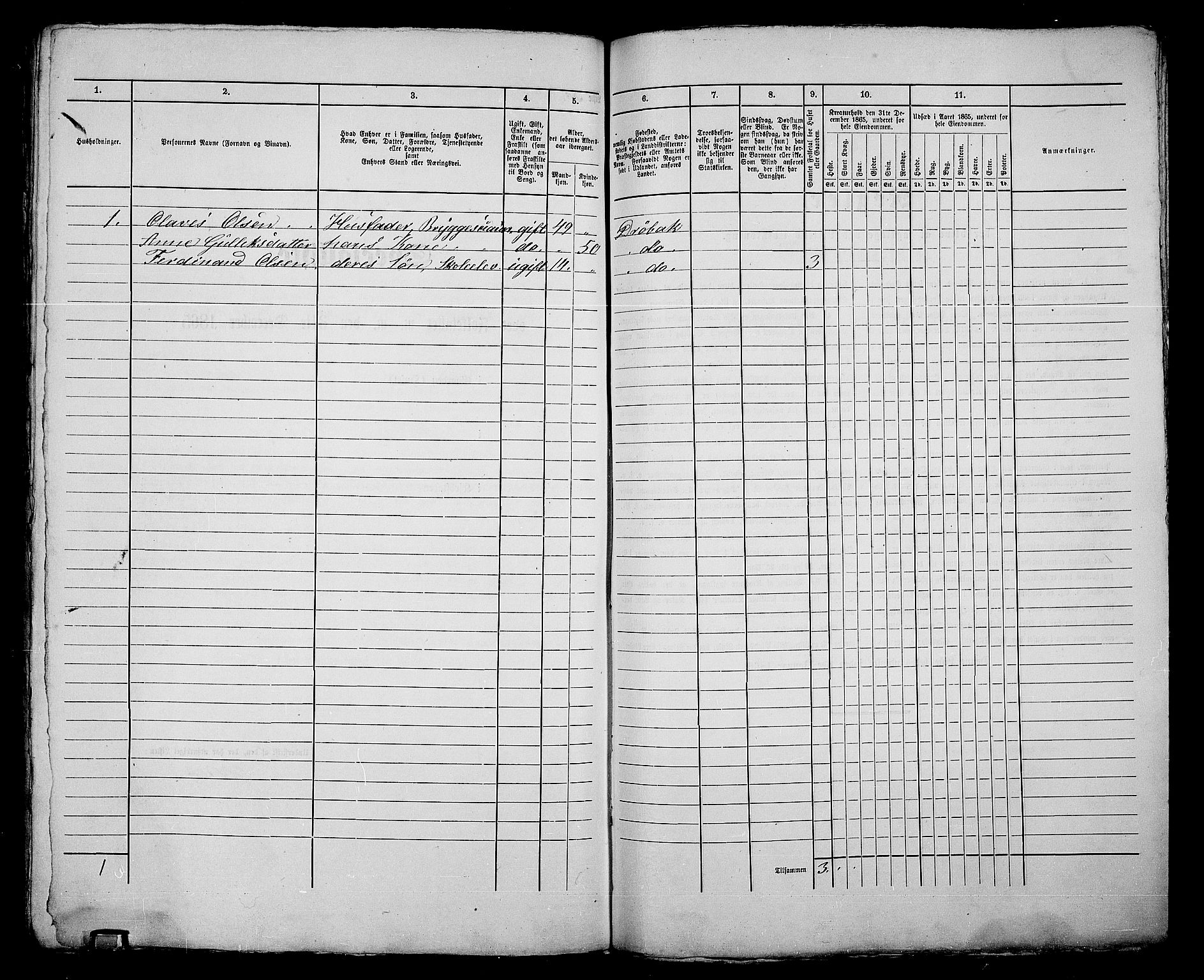 RA, 1865 census for Drøbak/Drøbak, 1865, p. 412