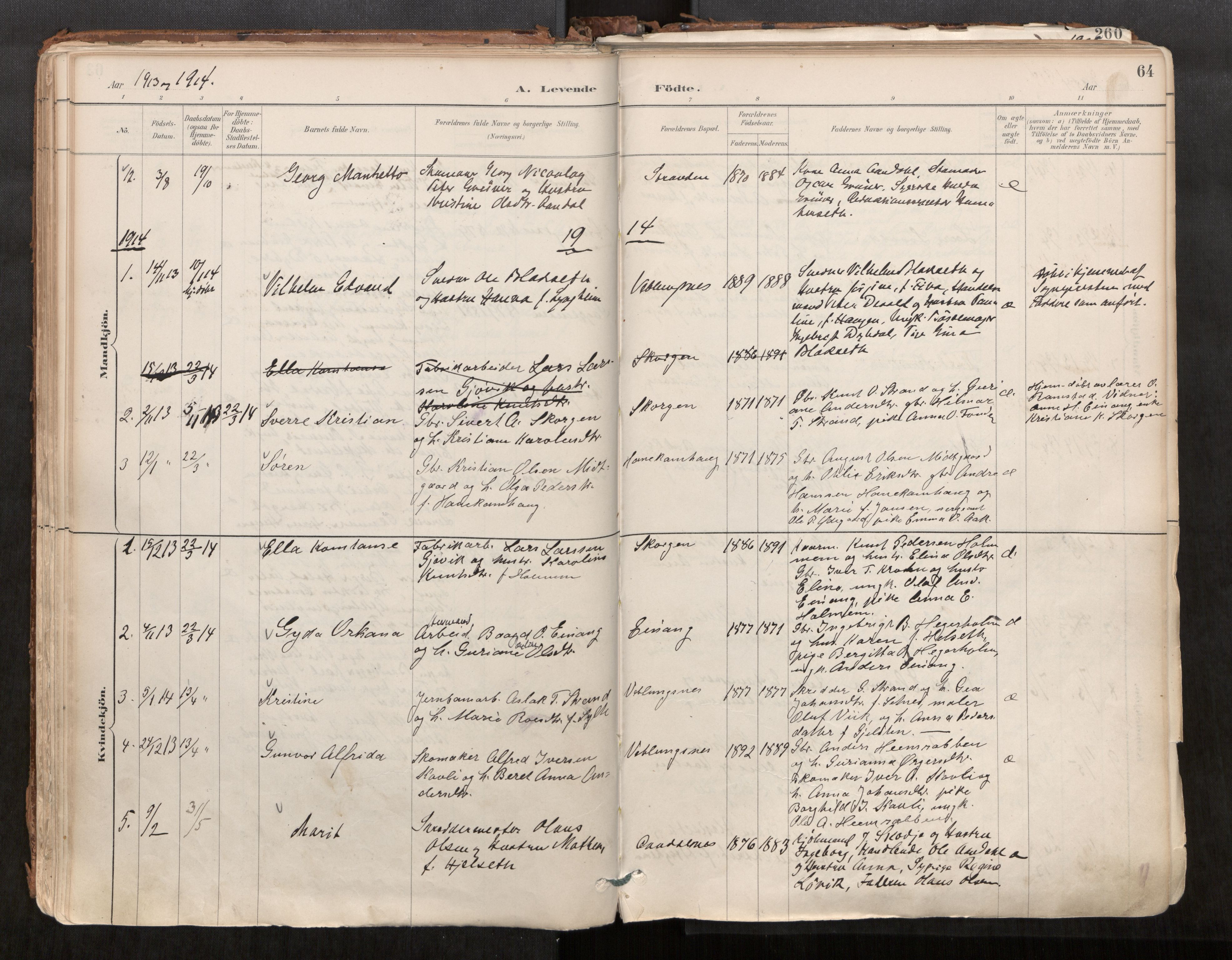 Ministerialprotokoller, klokkerbøker og fødselsregistre - Møre og Romsdal, AV/SAT-A-1454/544/L0585: Parish register (official) no. 544A06, 1887-1924, p. 64