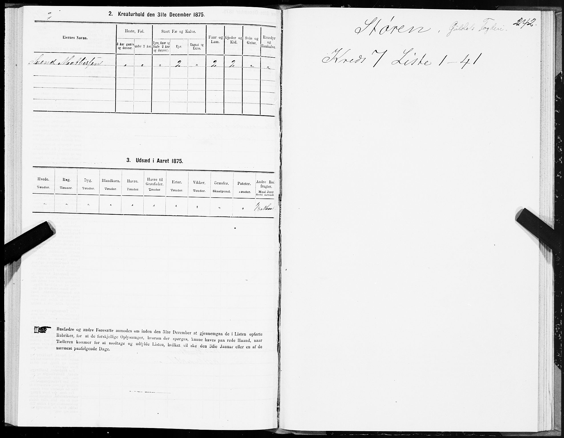 SAT, 1875 census for 1648P Støren, 1875, p. 3242