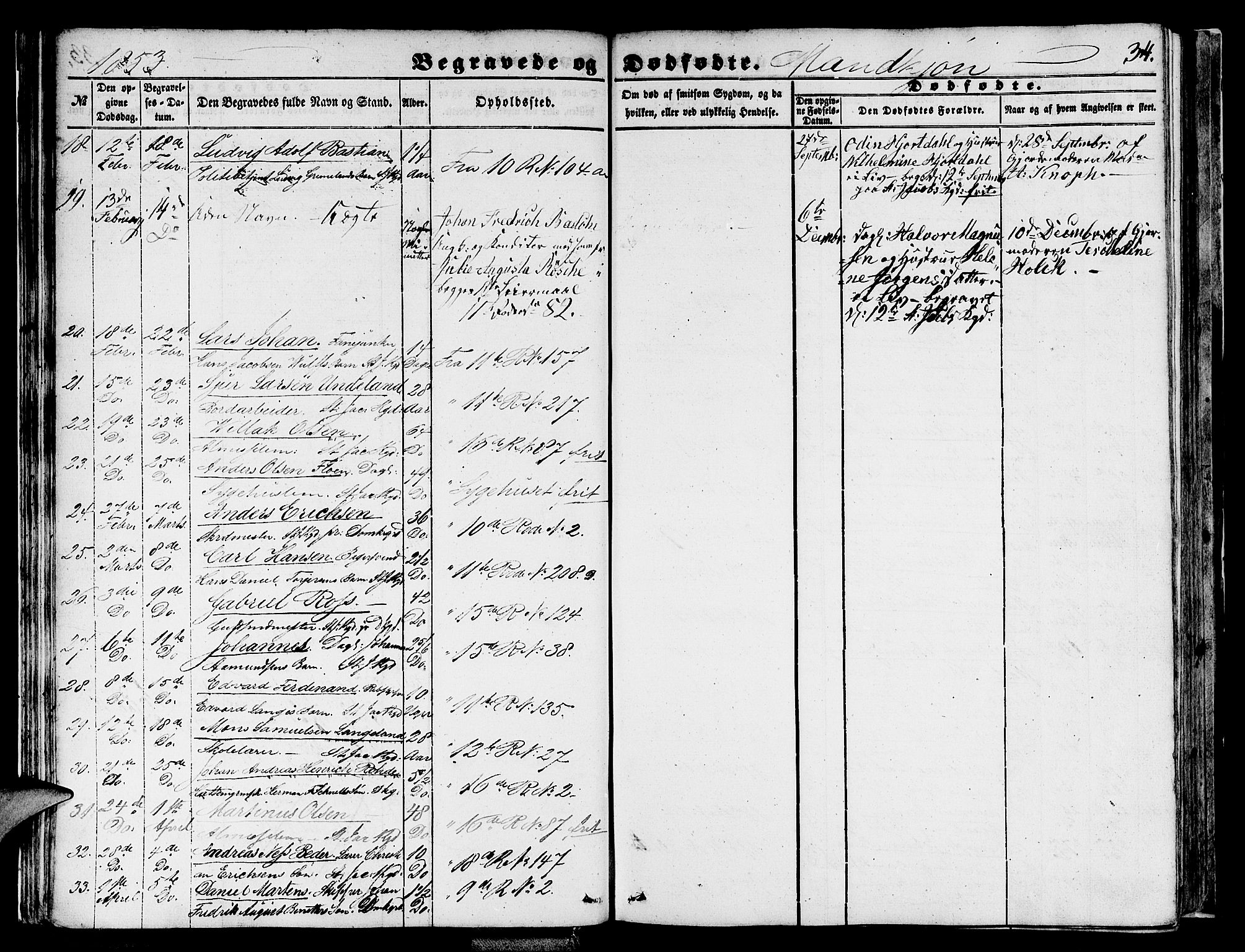 Domkirken sokneprestembete, SAB/A-74801/H/Hab/L0038: Parish register (copy) no. E 2, 1847-1859, p. 34