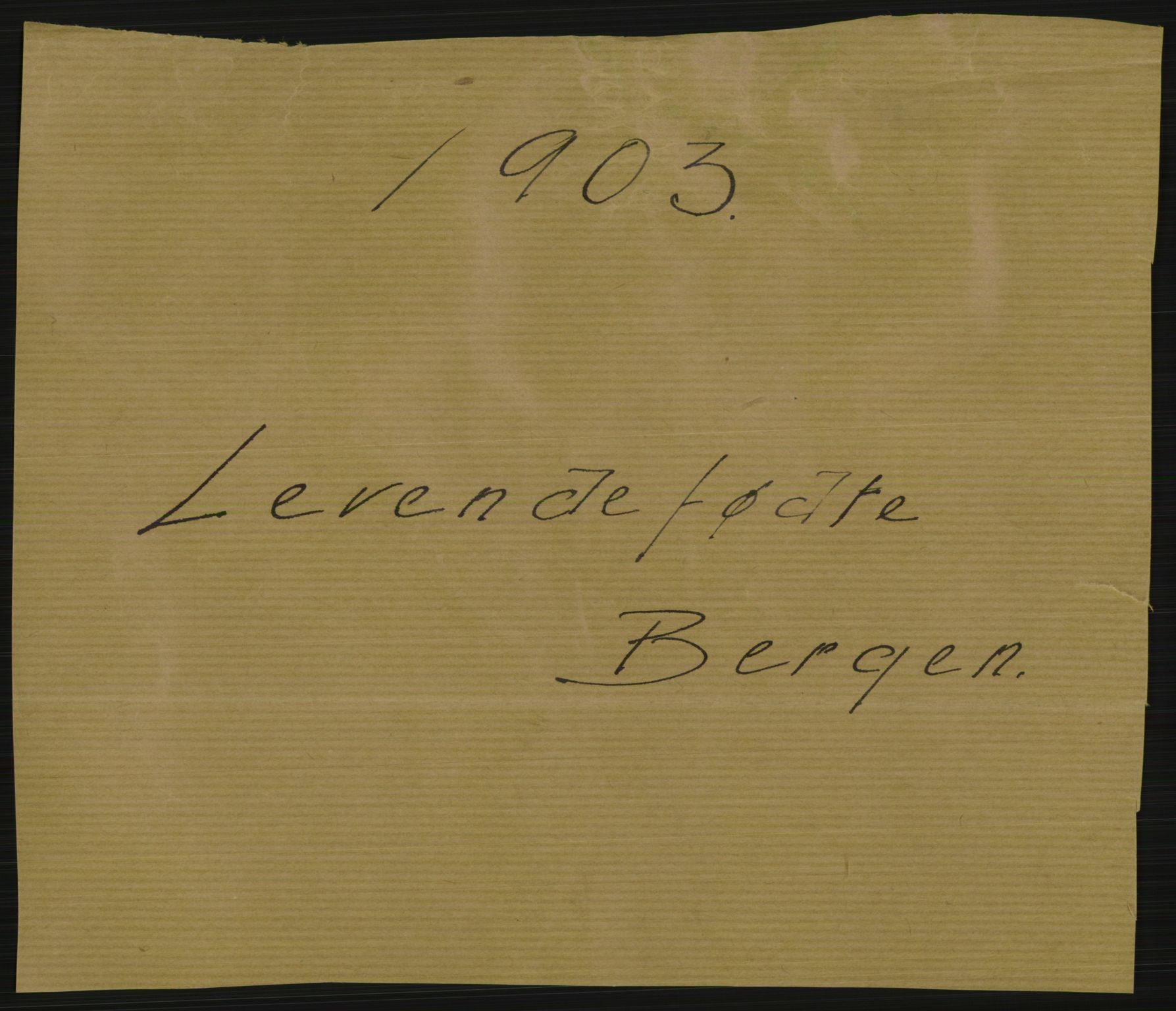 Statistisk sentralbyrå, Sosiodemografiske emner, Befolkning, RA/S-2228/D/Df/Dfa/Dfaa/L0014: Bergen: Fødte, gifte, døde, 1903, p. 1