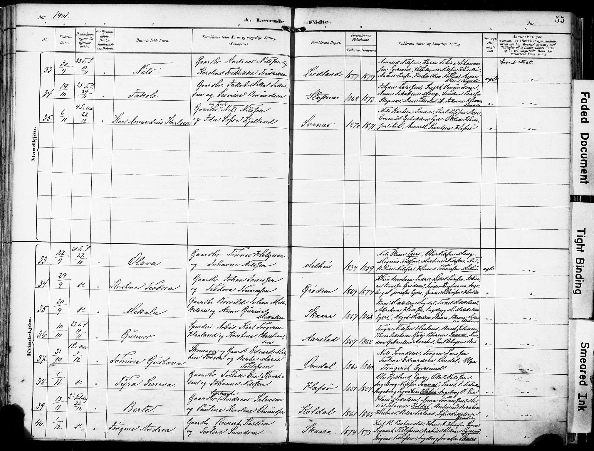 Eigersund sokneprestkontor, SAST/A-101807/S08/L0018: Parish register (official) no. A 17, 1892-1905, p. 55