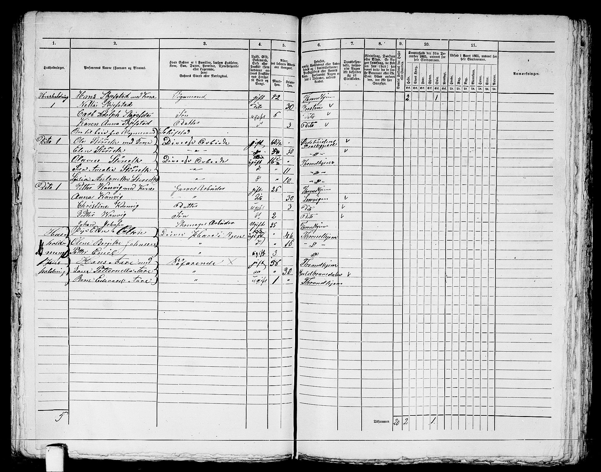 RA, 1865 census for Trondheim, 1865, p. 1310