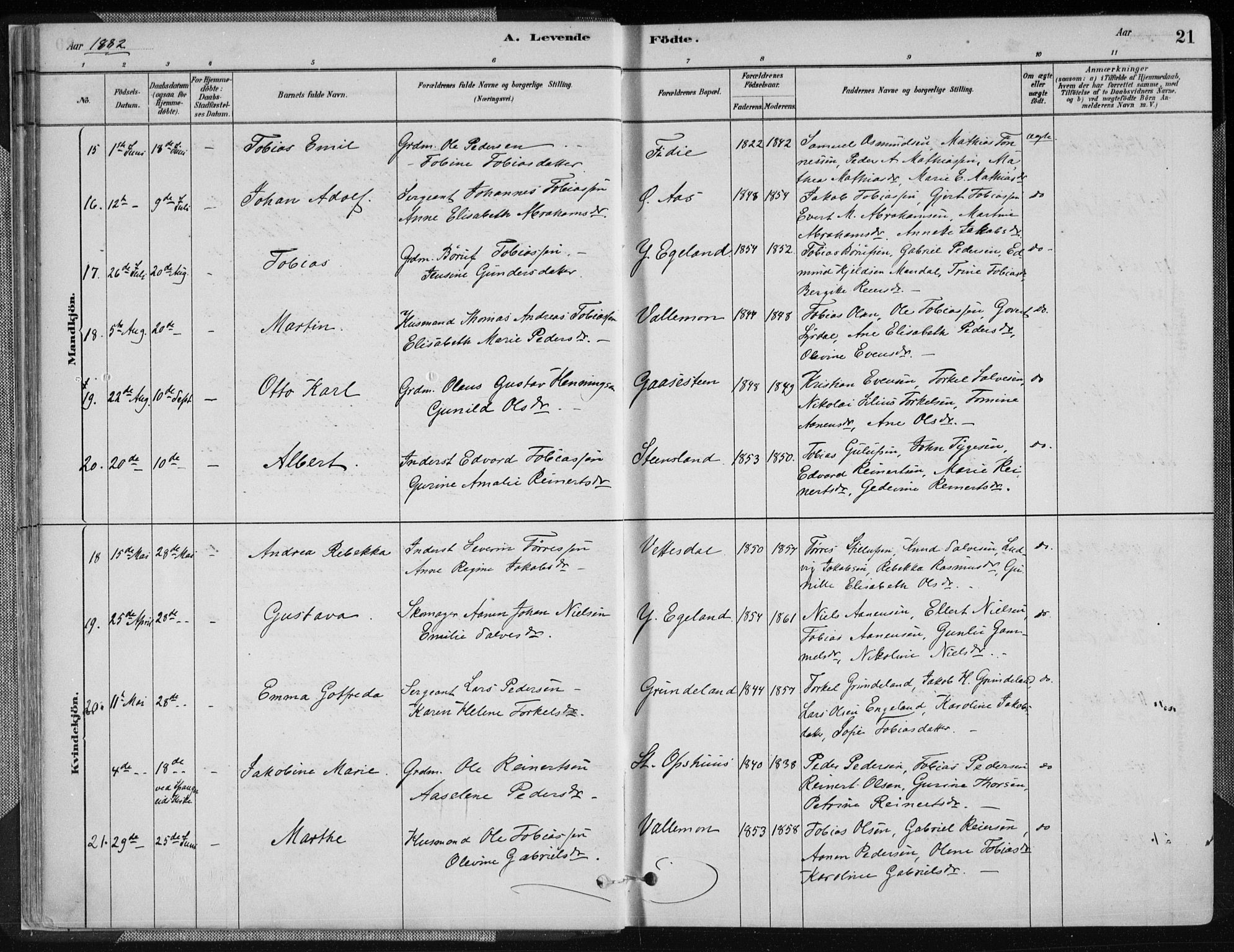 Sør-Audnedal sokneprestkontor, AV/SAK-1111-0039/F/Fa/Fab/L0009: Parish register (official) no. A 9, 1880-1895, p. 21