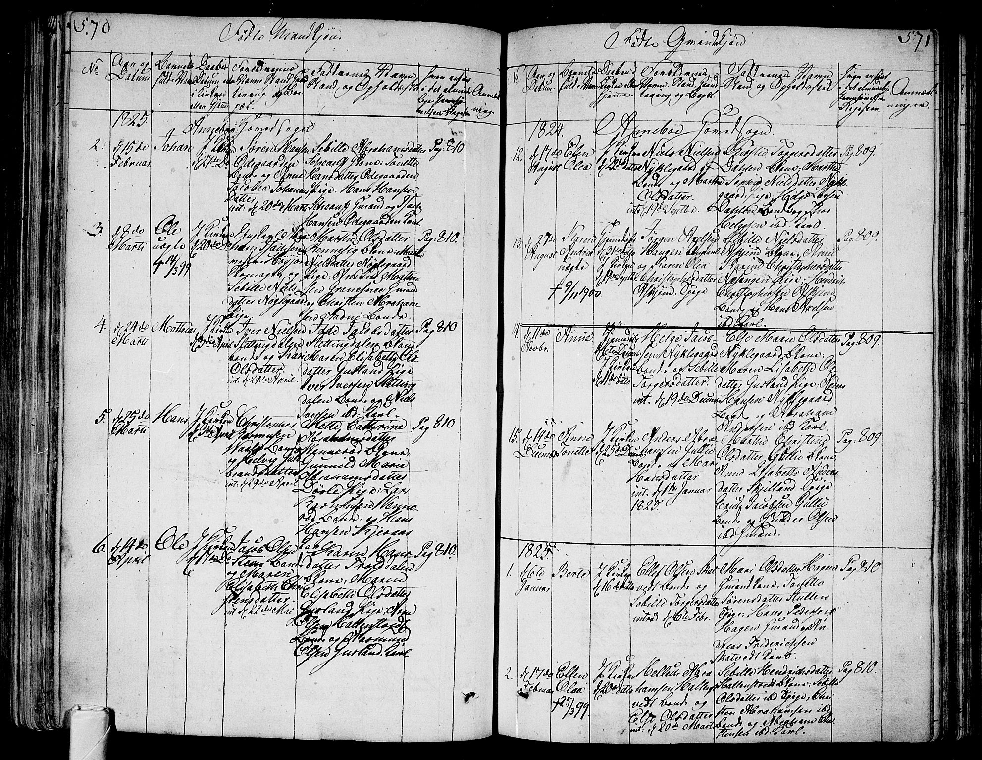 Andebu kirkebøker, AV/SAKO-A-336/F/Fa/L0003: Parish register (official) no. 3 /1, 1803-1828, p. 570-571