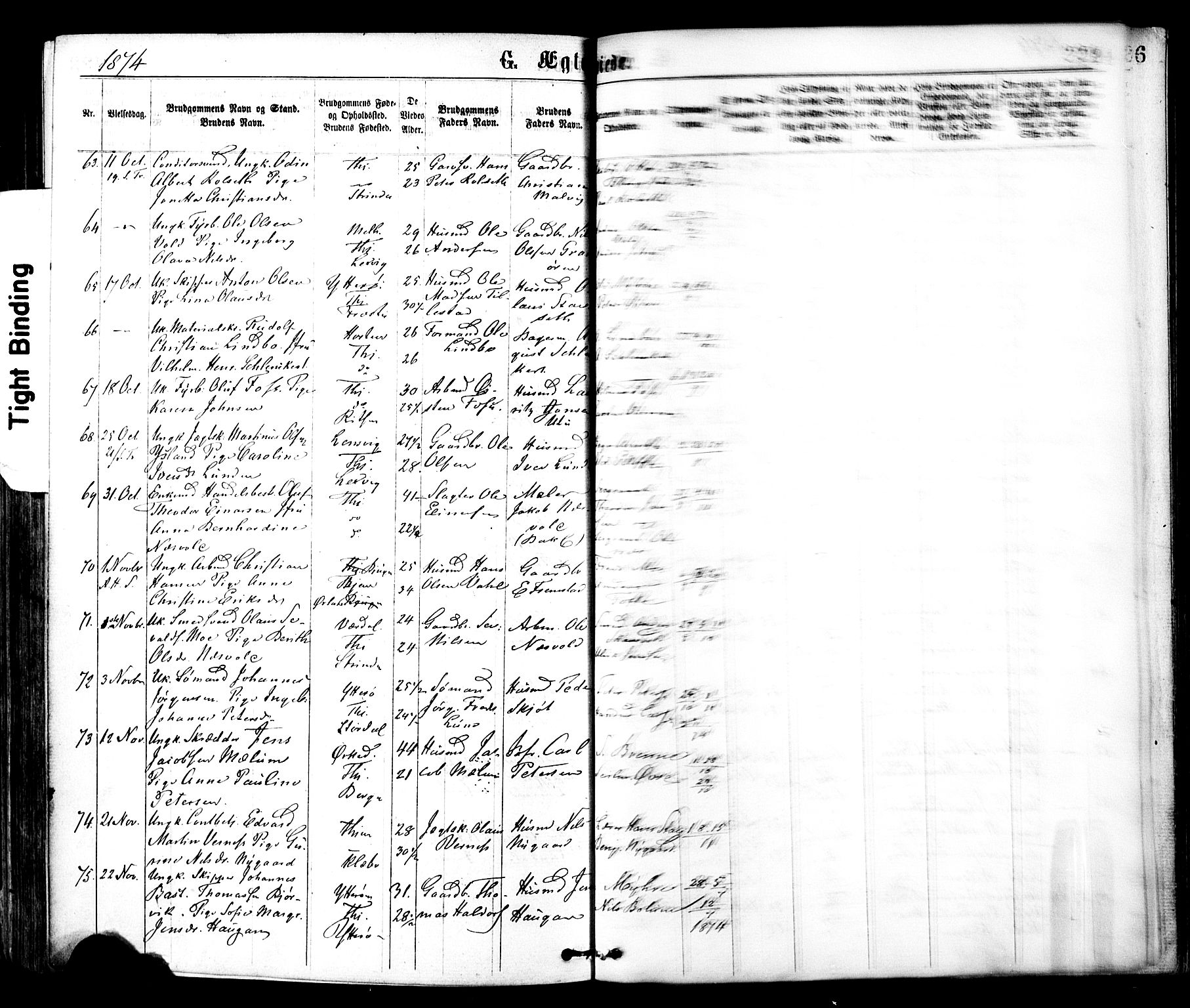 Ministerialprotokoller, klokkerbøker og fødselsregistre - Sør-Trøndelag, SAT/A-1456/602/L0118: Parish register (official) no. 602A16, 1873-1879, p. 224