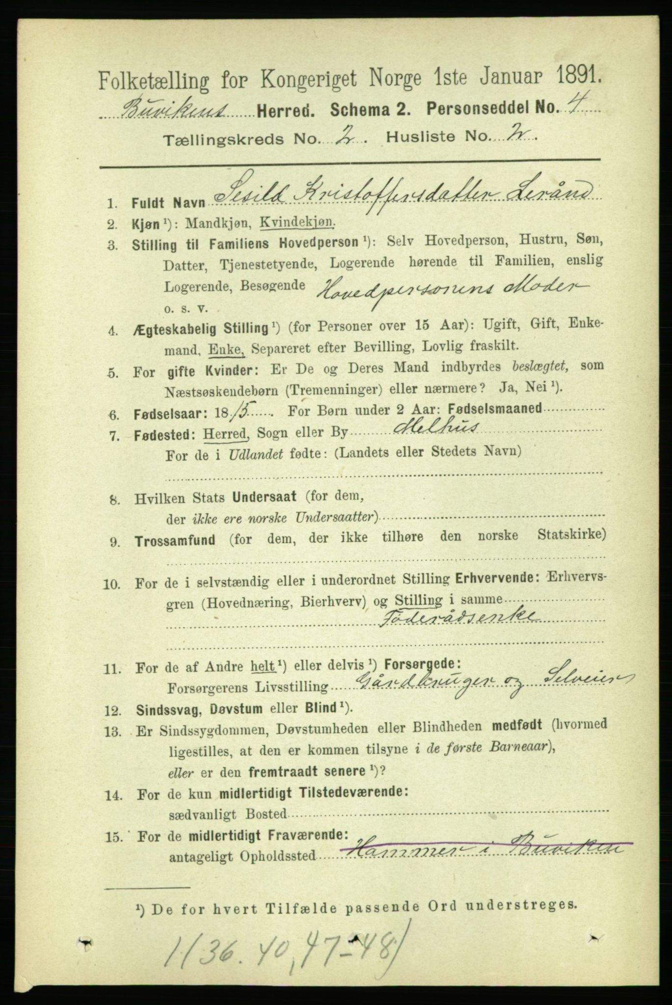 RA, 1891 census for 1656 Buvik, 1891, p. 619