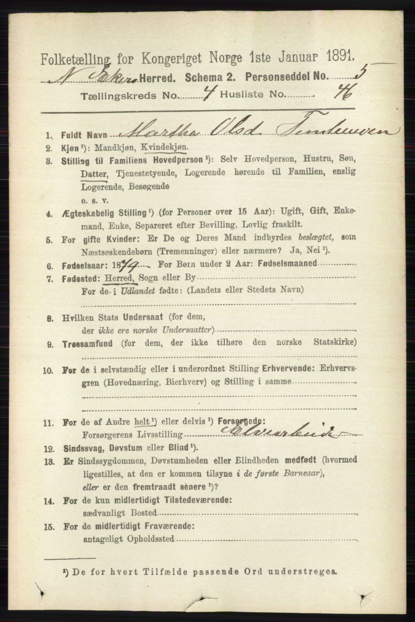 RA, 1891 census for 0625 Nedre Eiker, 1891, p. 2196