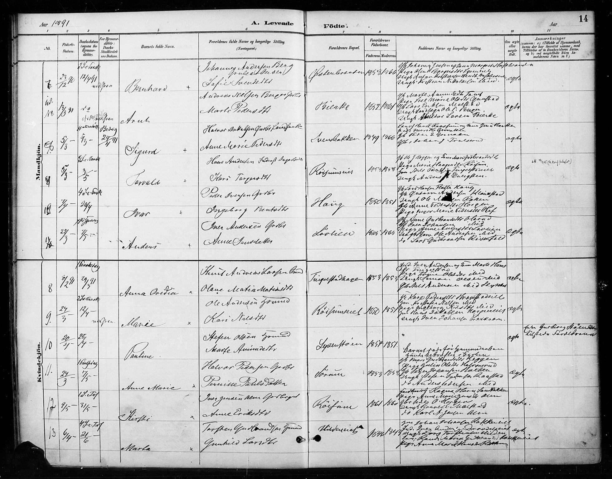 Gran prestekontor, SAH/PREST-112/H/Ha/Haa/L0018: Parish register (official) no. 18, 1889-1899, p. 14