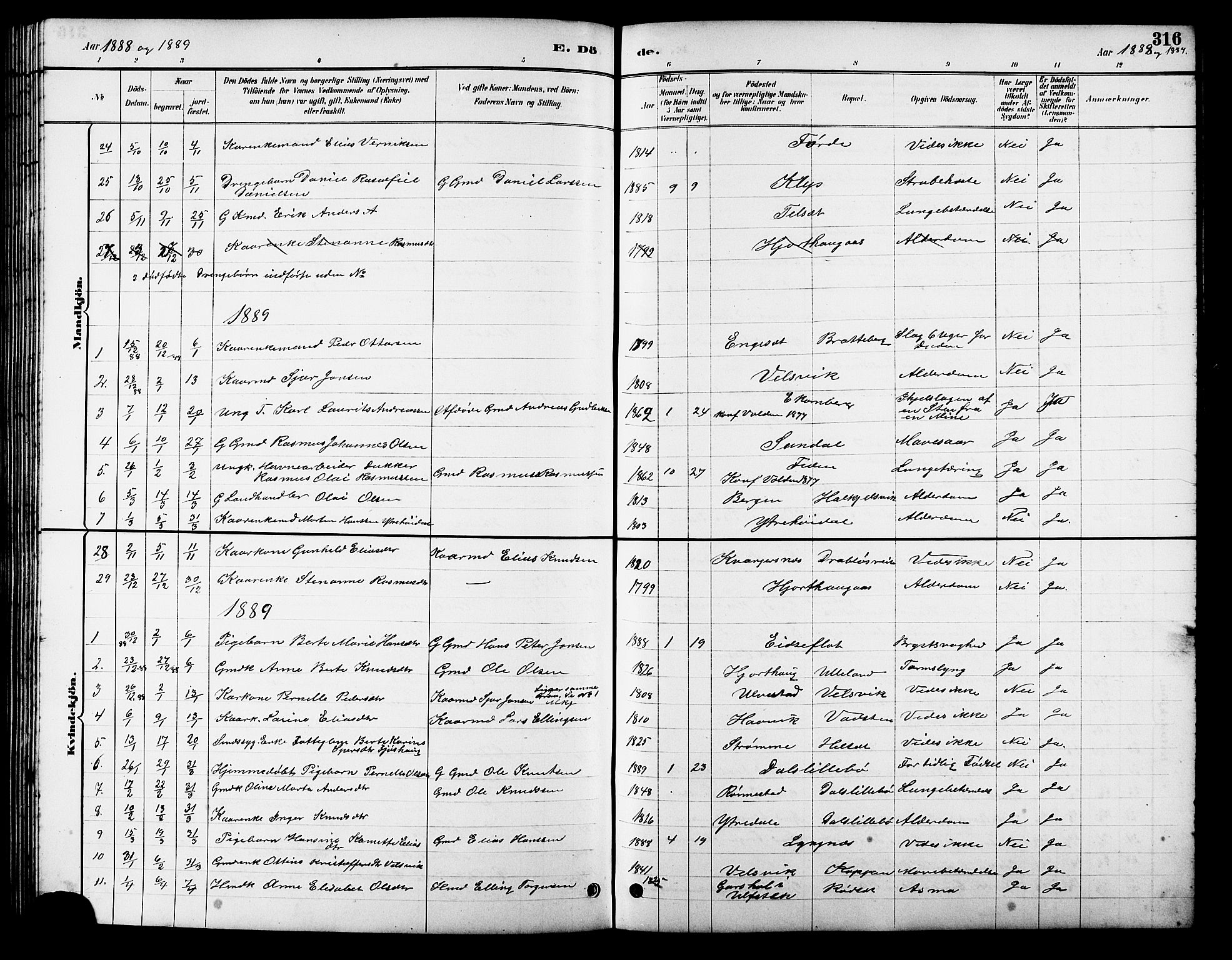 Ministerialprotokoller, klokkerbøker og fødselsregistre - Møre og Romsdal, SAT/A-1454/511/L0158: Parish register (copy) no. 511C04, 1884-1903, p. 316