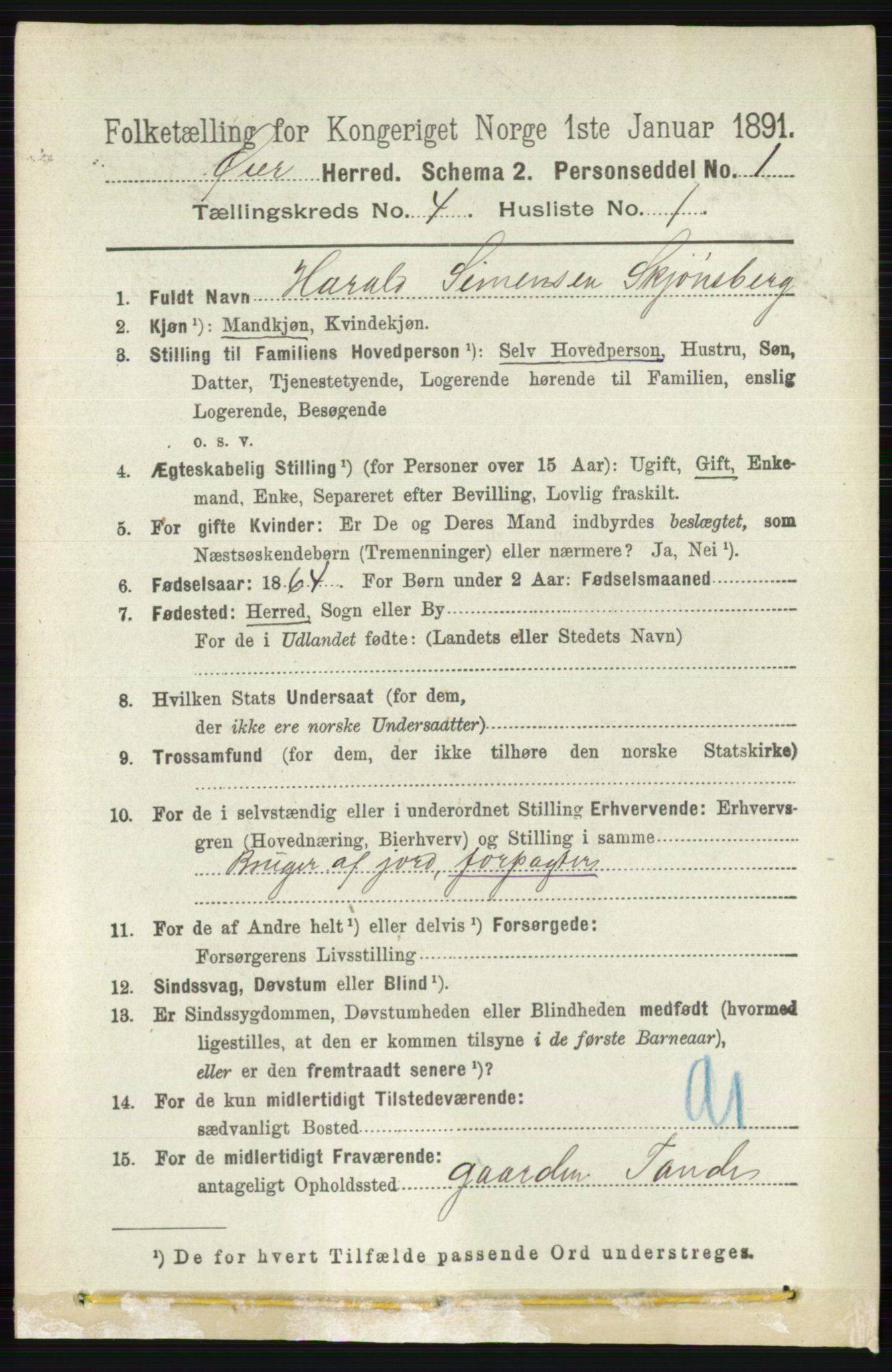 RA, 1891 census for 0521 Øyer, 1891, p. 1305