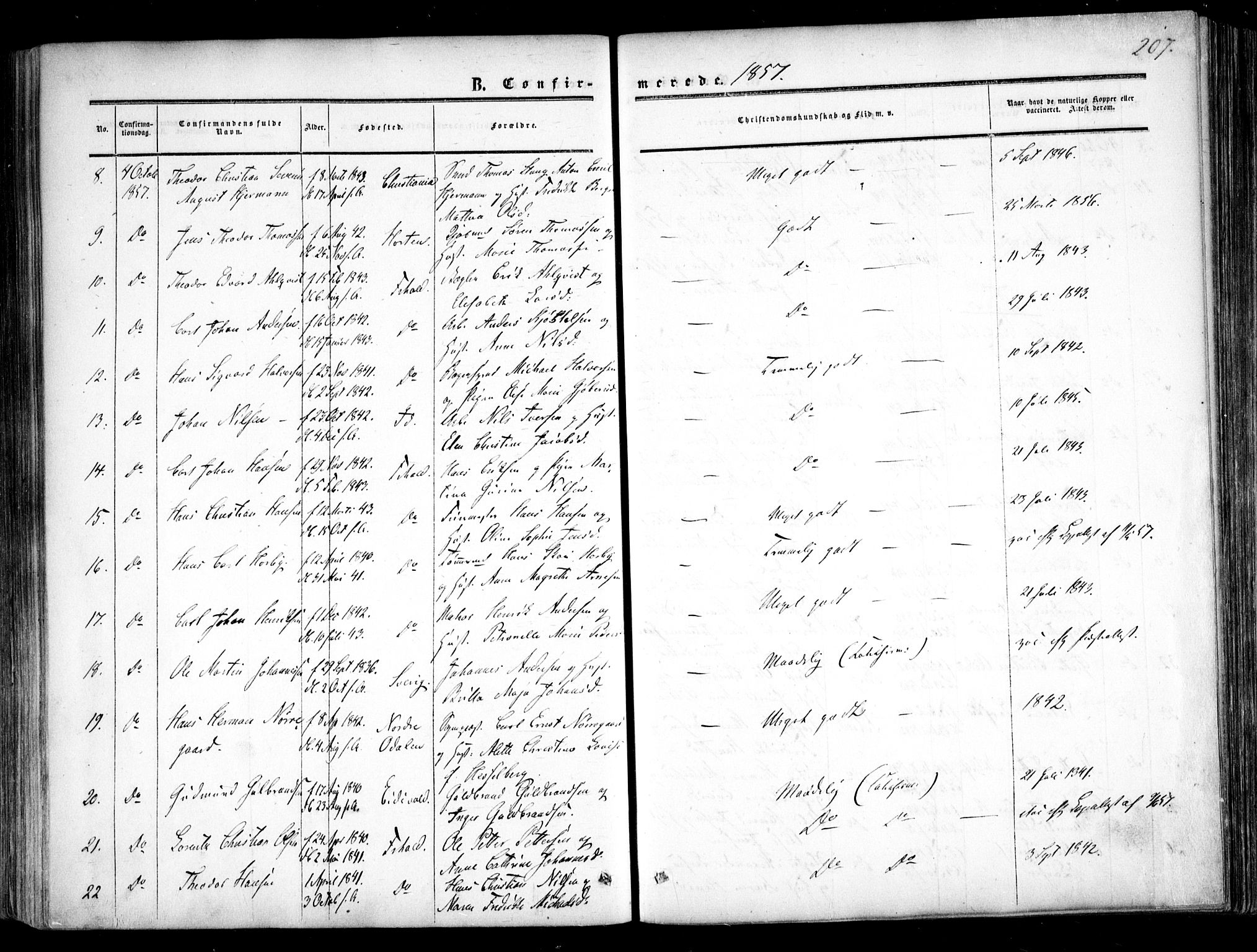 Halden prestekontor Kirkebøker, AV/SAO-A-10909/F/Fa/L0007: Parish register (official) no. I 7, 1857-1865, p. 207