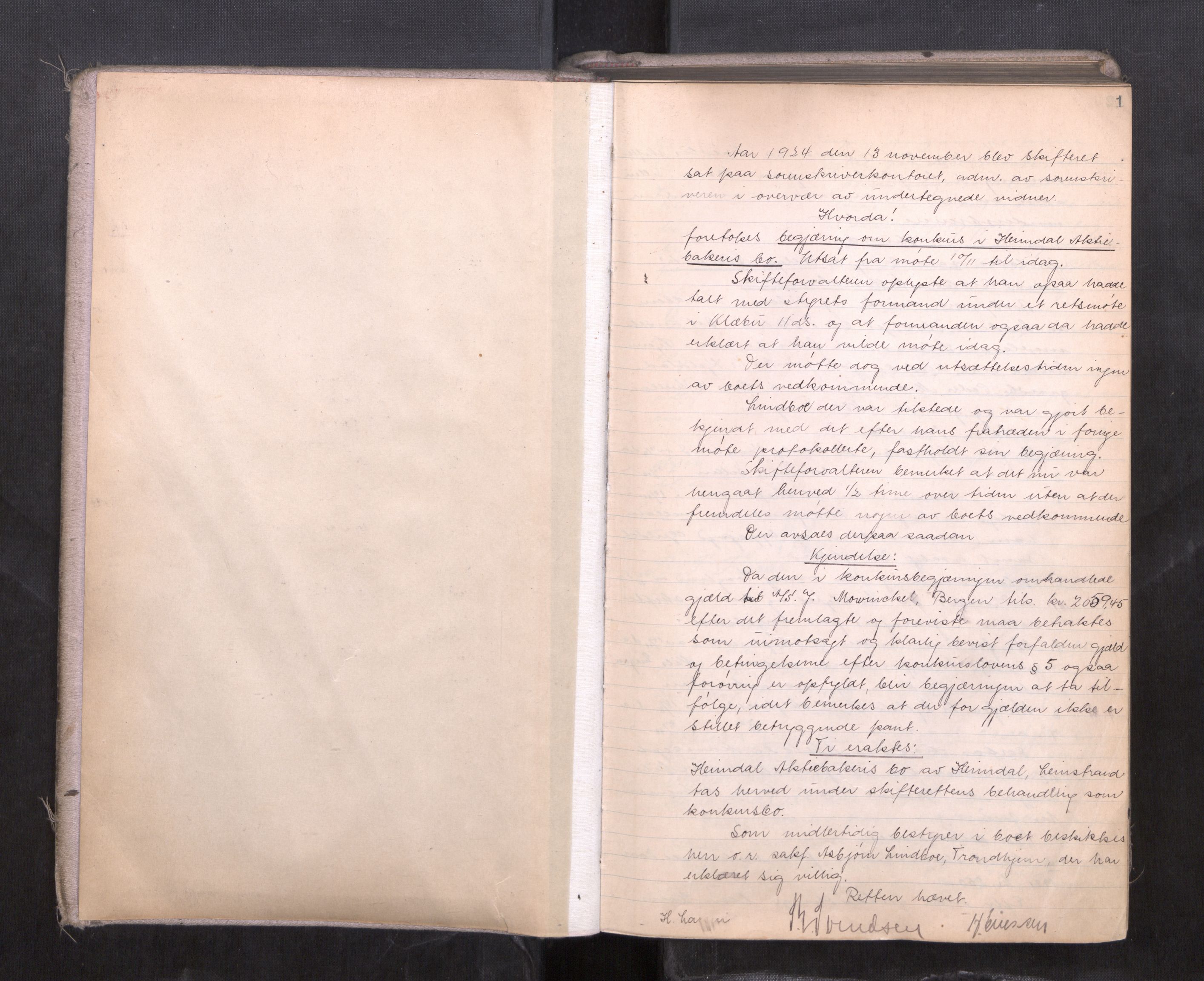 Strinda og Selbu sorenskriveri, AV/SAT-A-0015/3/3B/L0015: Skifteforhandlingsprot. 15, 1924-1927, p. 1