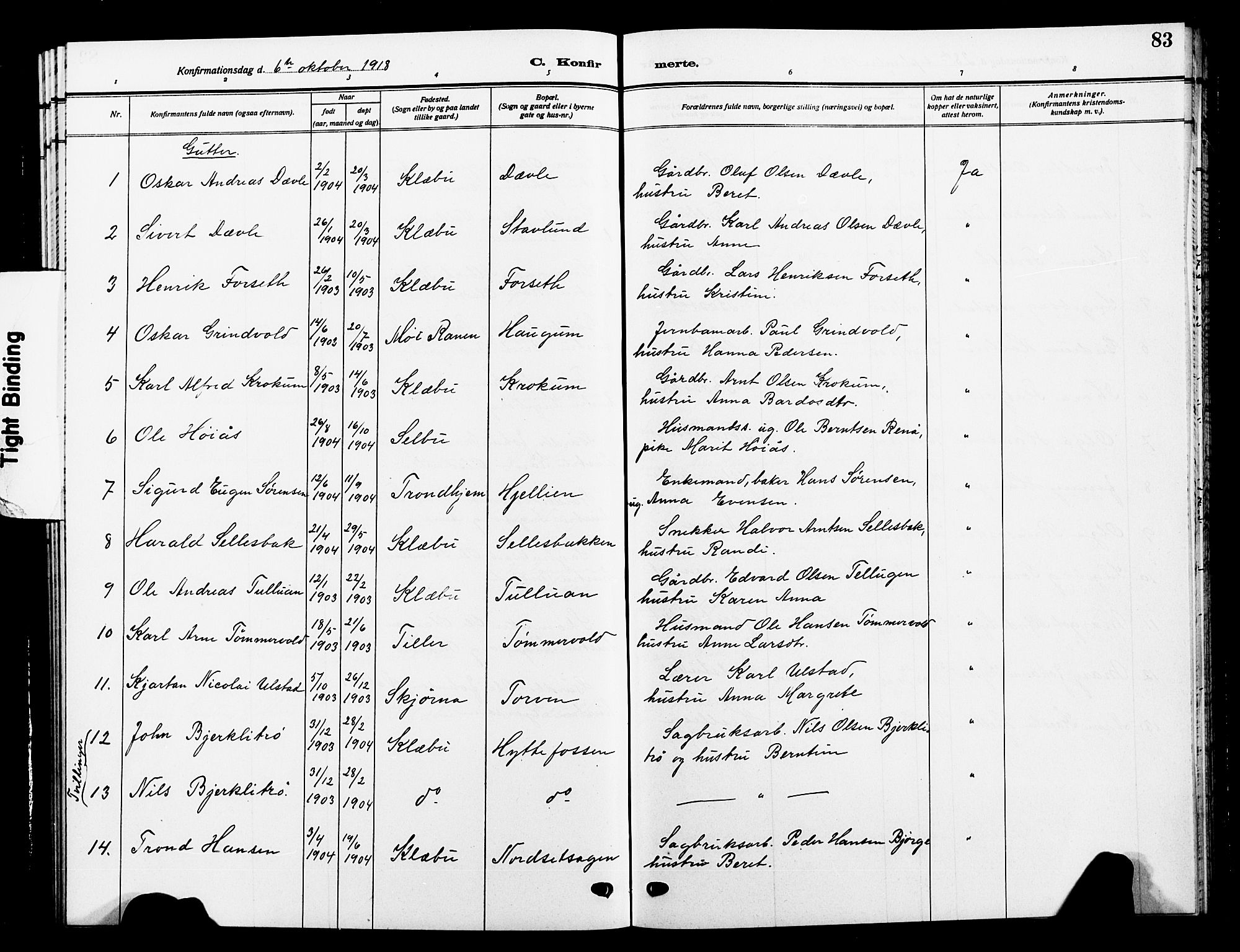 Ministerialprotokoller, klokkerbøker og fødselsregistre - Sør-Trøndelag, SAT/A-1456/618/L0453: Parish register (copy) no. 618C04, 1907-1925, p. 83