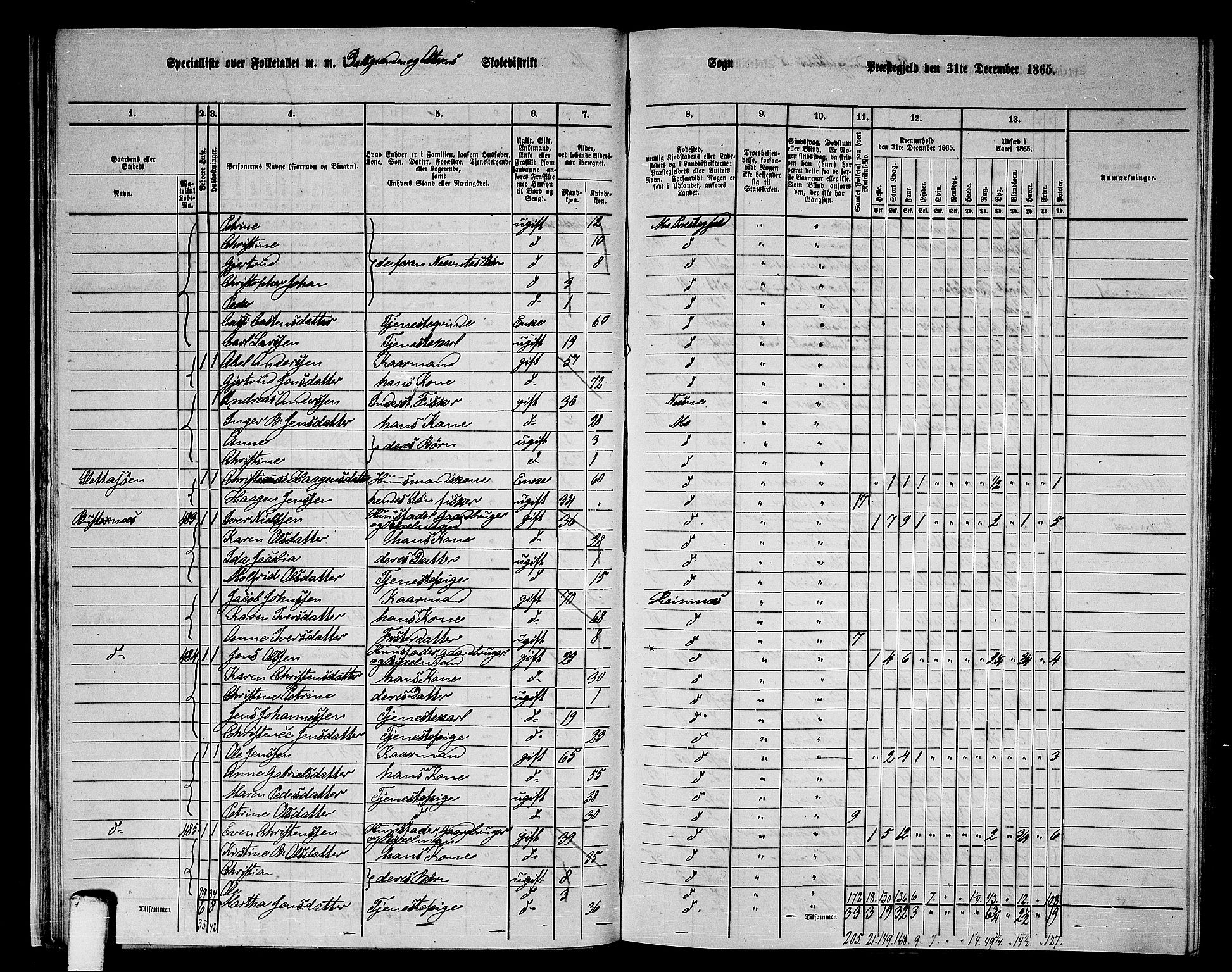 RA, 1865 census for Mo, 1865, p. 30