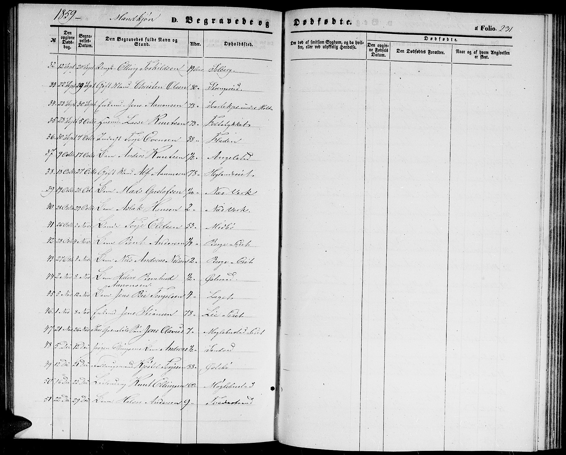 Holt sokneprestkontor, AV/SAK-1111-0021/F/Fb/L0008: Parish register (copy) no. B 8, 1858-1871, p. 231