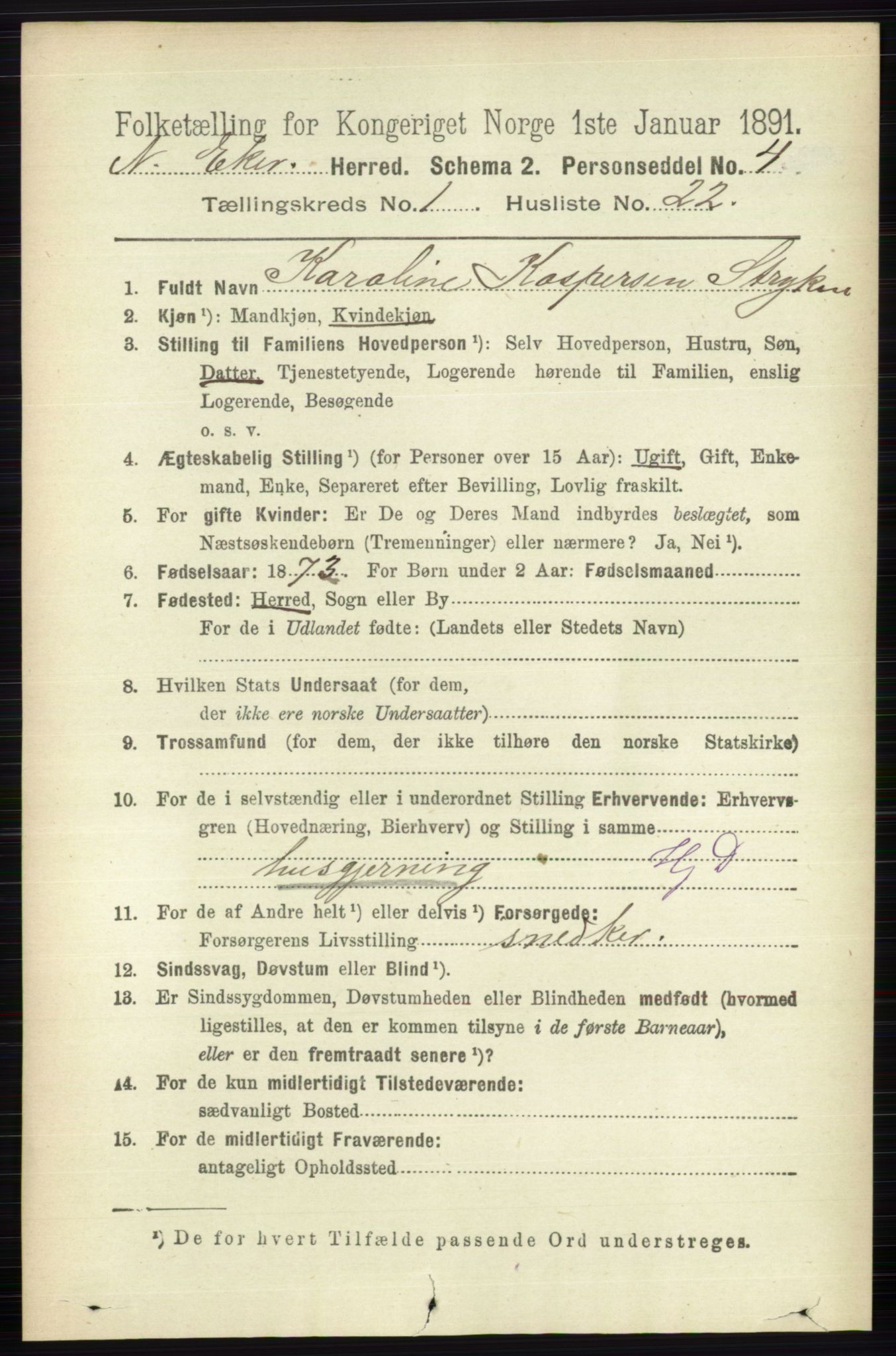 RA, 1891 census for 0625 Nedre Eiker, 1891, p. 200