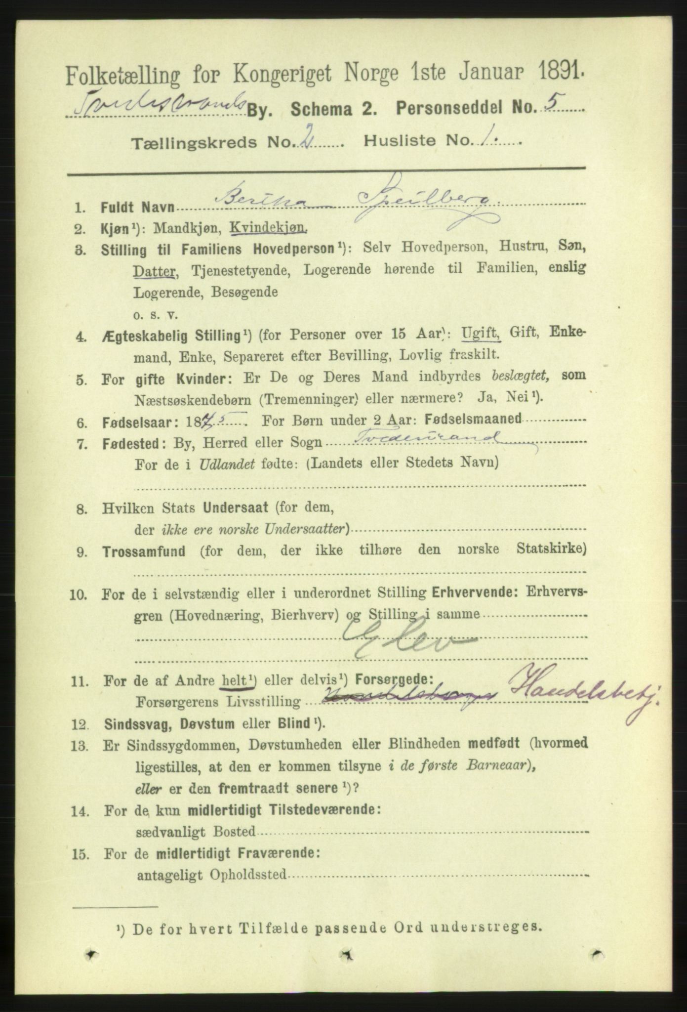 RA, 1891 census for 0902 Tvedestrand, 1891, p. 1360