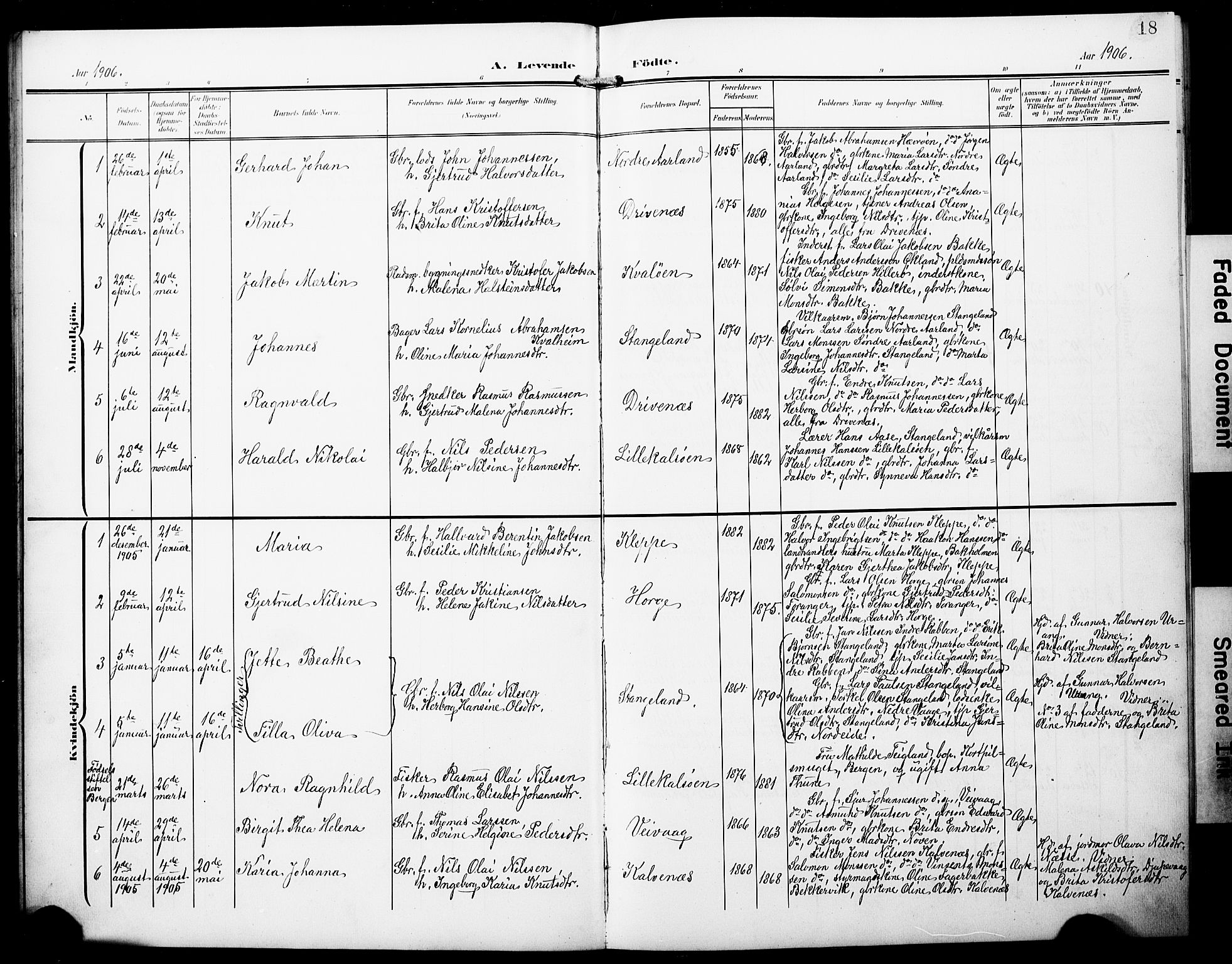 Austevoll Sokneprestembete, SAB/A-74201/H/Hab: Parish register (copy) no. B 5, 1902-1910, p. 18