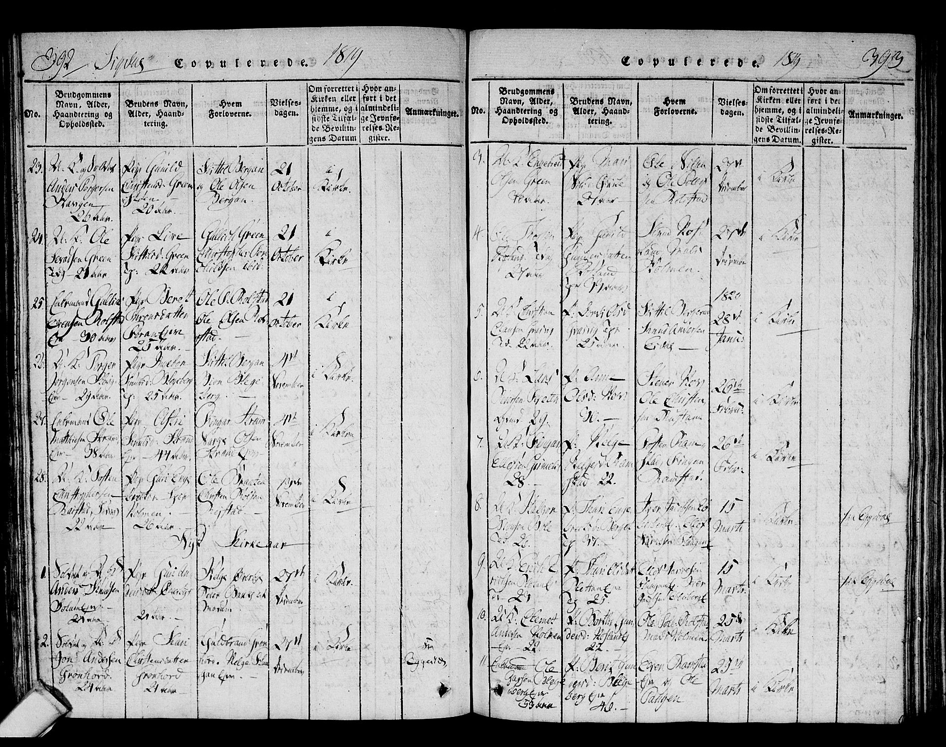 Sigdal kirkebøker, AV/SAKO-A-245/F/Fa/L0005: Parish register (official) no. I 5 /1, 1815-1829, p. 392-393