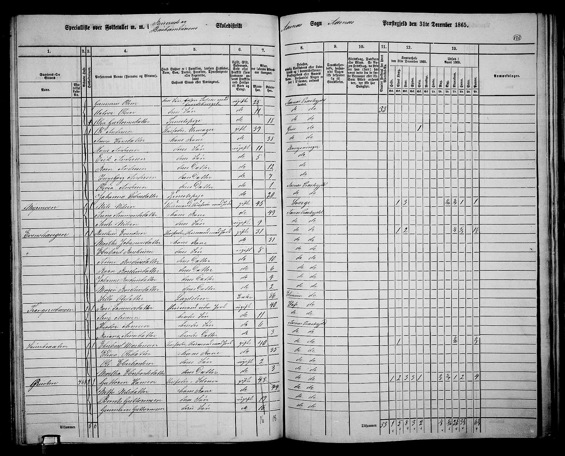 RA, 1865 census for Åsnes, 1865, p. 126