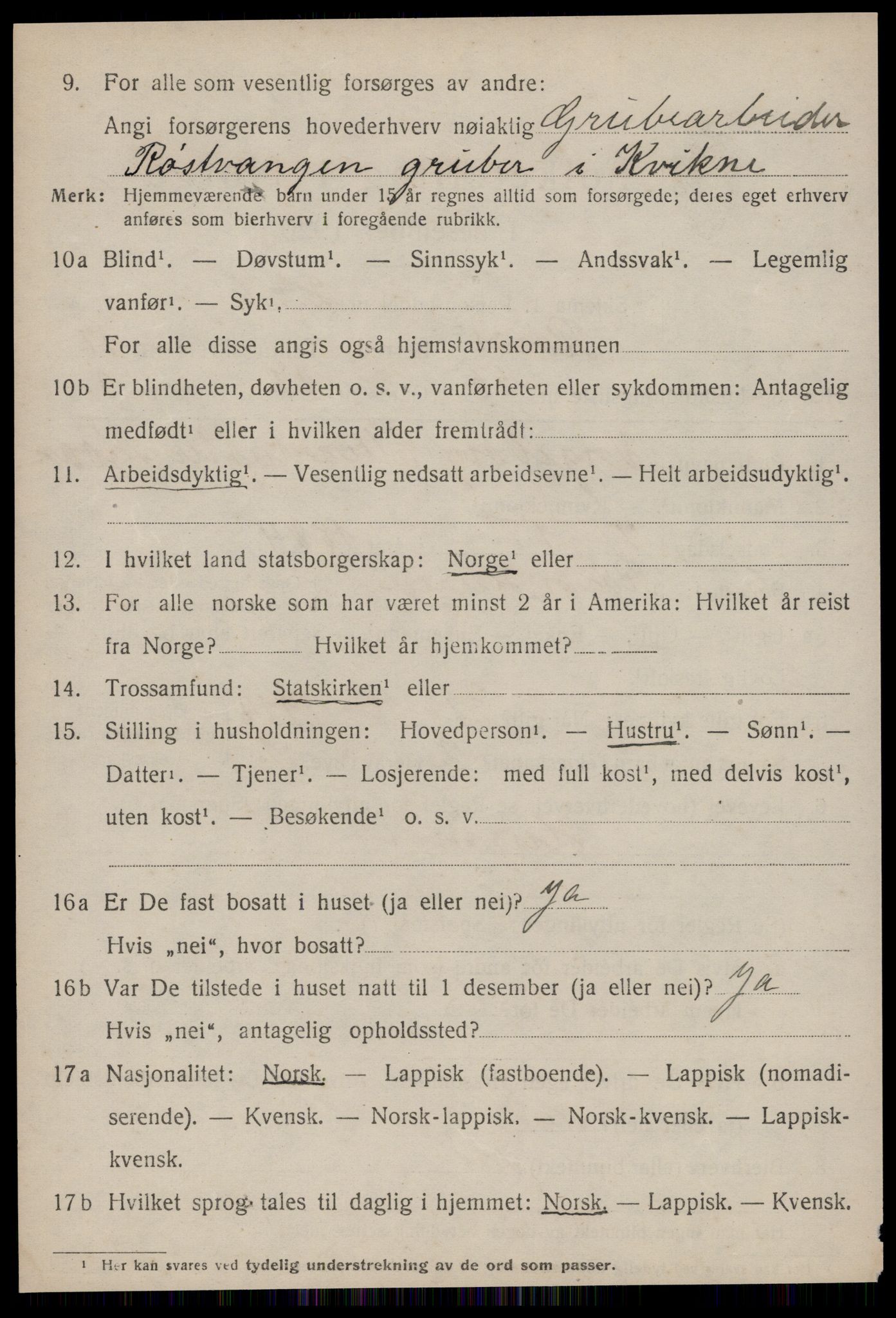 SAT, 1920 census for Røros, 1920, p. 12237