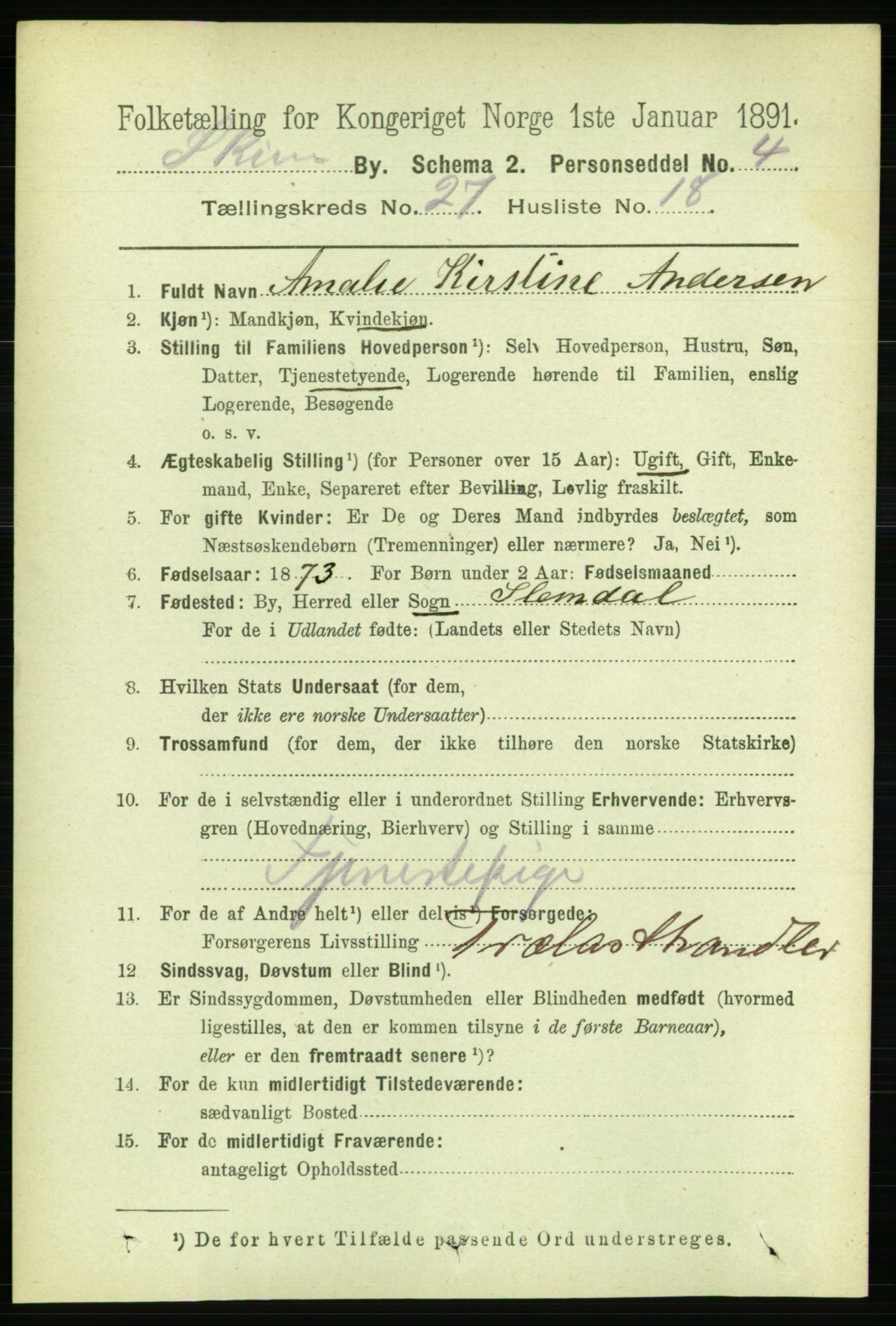 RA, 1891 census for 0806 Skien, 1891, p. 6491