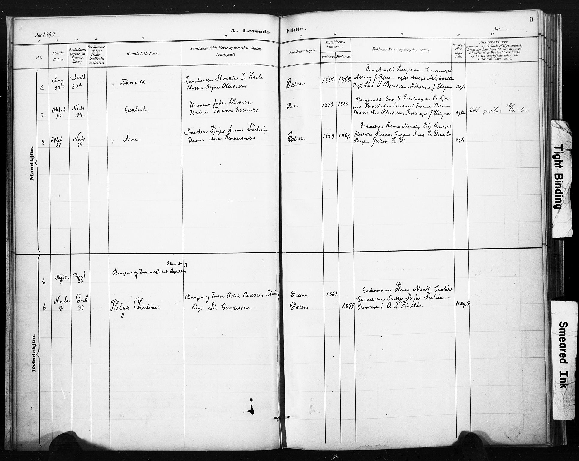 Lårdal kirkebøker, AV/SAKO-A-284/F/Fb/L0002: Parish register (official) no. II 2, 1887-1918, p. 9