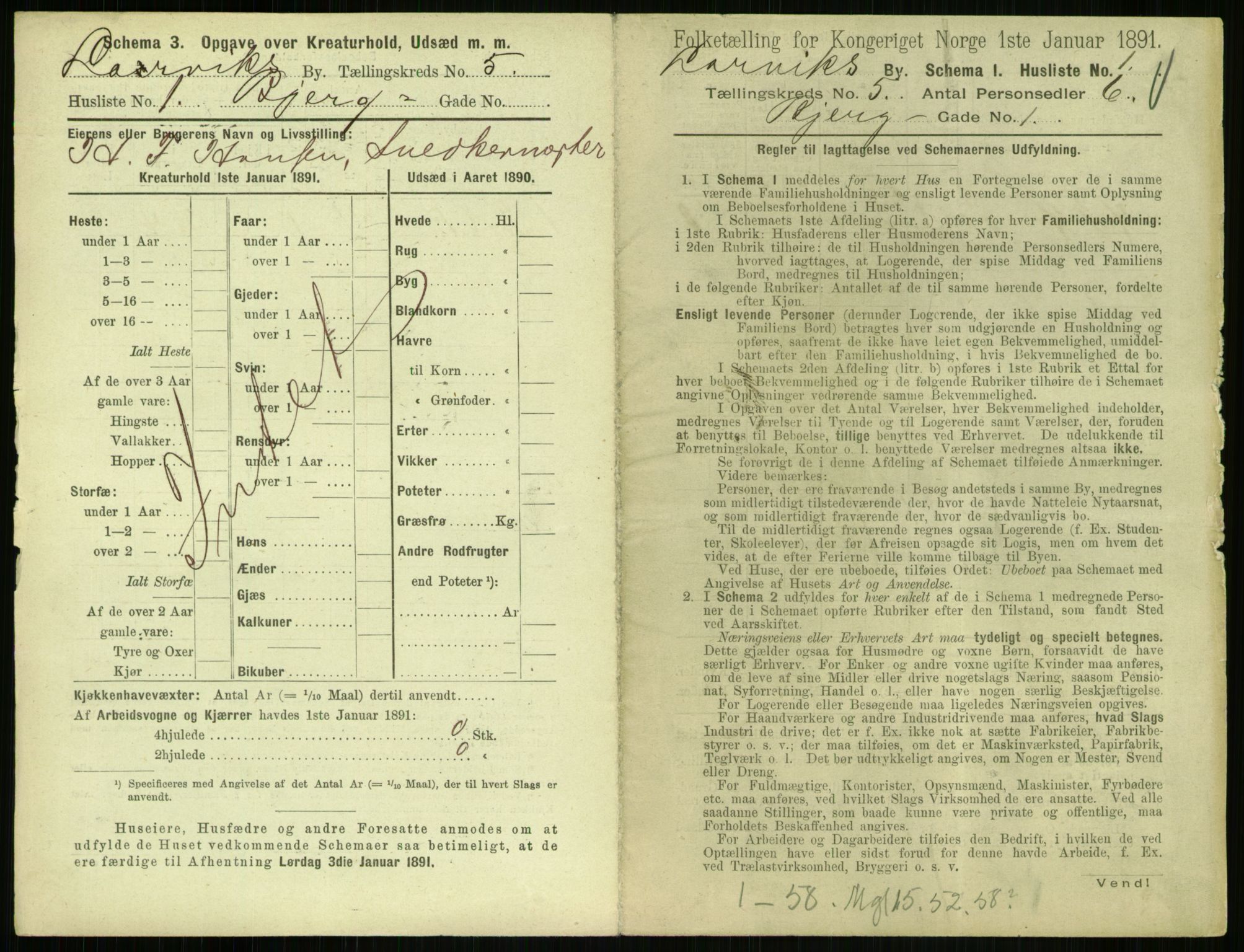 RA, 1891 census for 0707 Larvik, 1891, p. 689