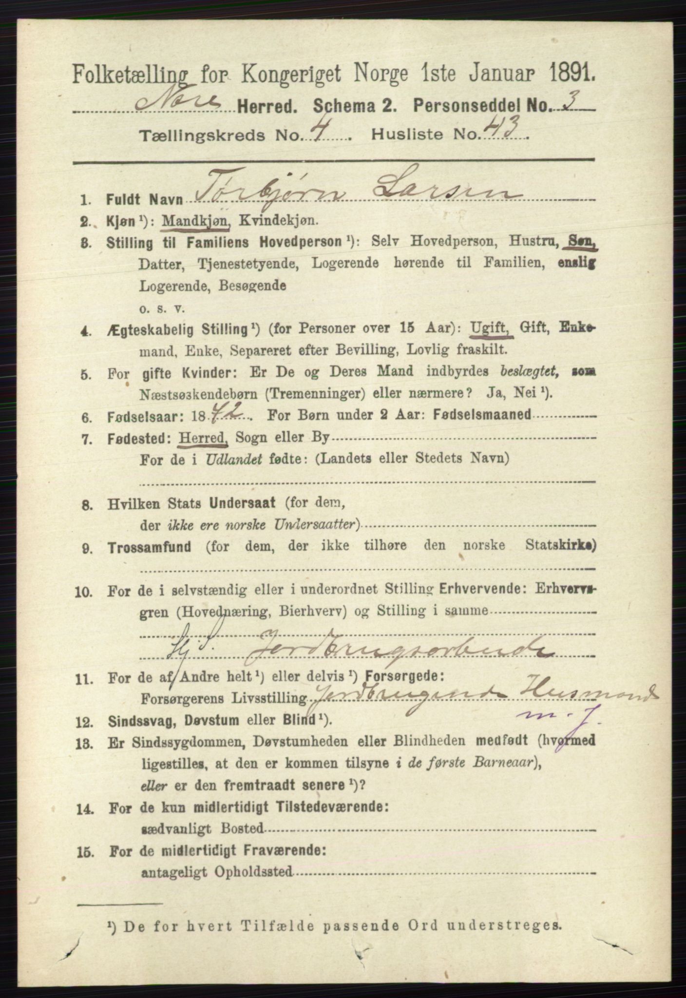 RA, 1891 census for 0633 Nore, 1891, p. 1521