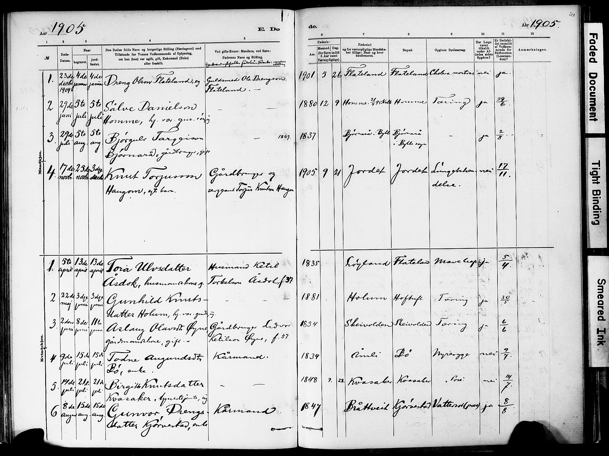 Valle sokneprestkontor, AV/SAK-1111-0044/F/Fa/Fac/L0009: Parish register (official) no. A 9, 1882-1913, p. 228