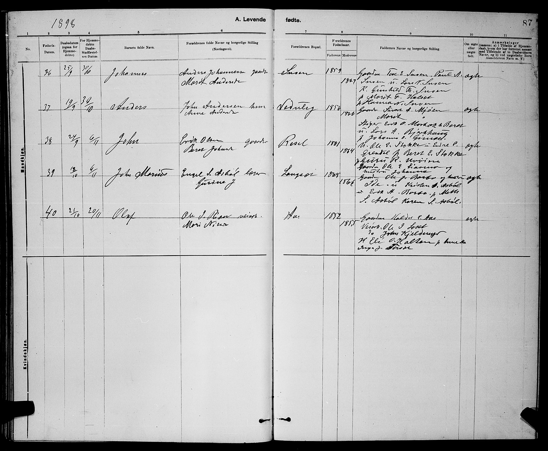 Ministerialprotokoller, klokkerbøker og fødselsregistre - Sør-Trøndelag, AV/SAT-A-1456/672/L0863: Parish register (copy) no. 672C02, 1888-1901, p. 87