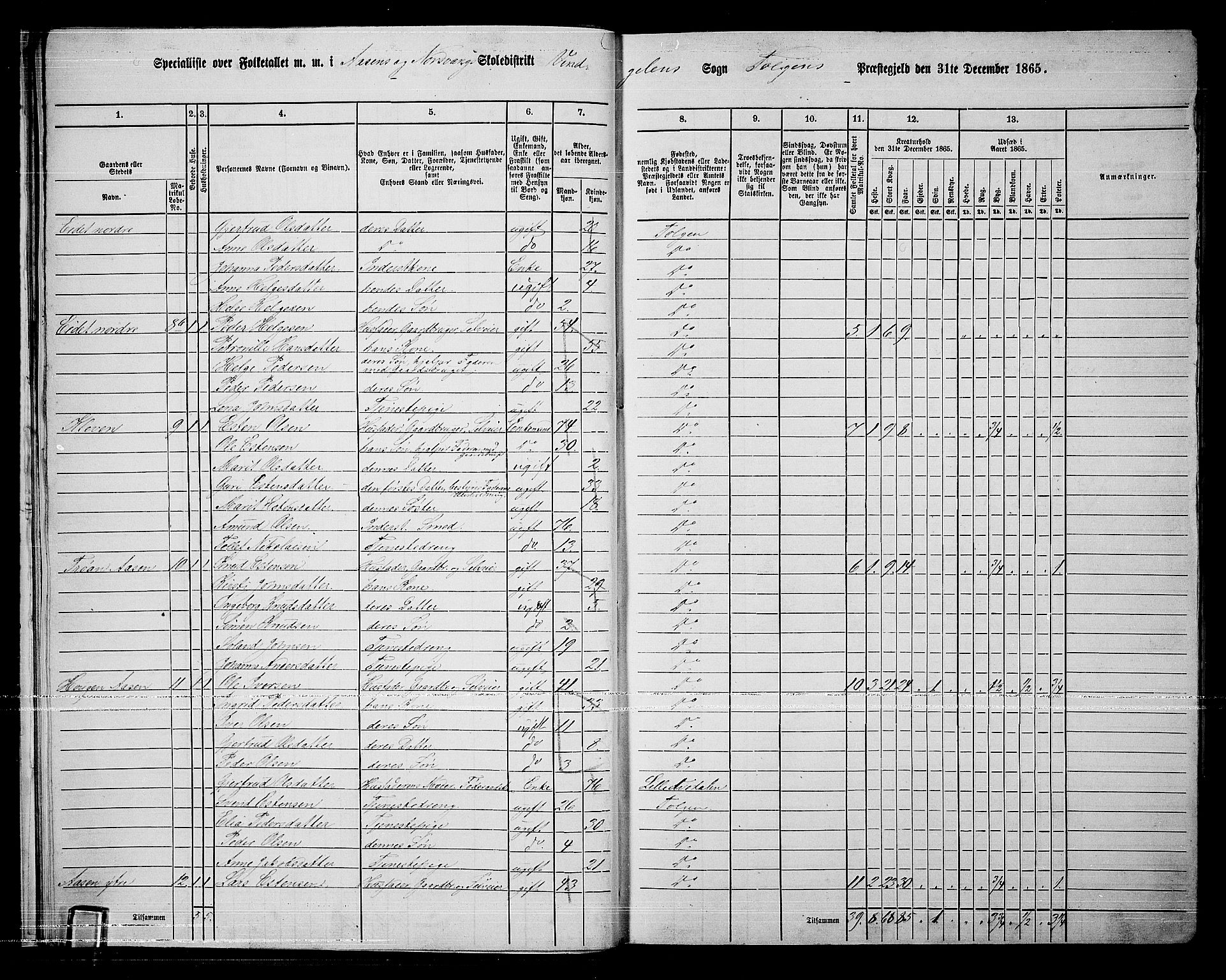 RA, 1865 census for Tolga, 1865, p. 18