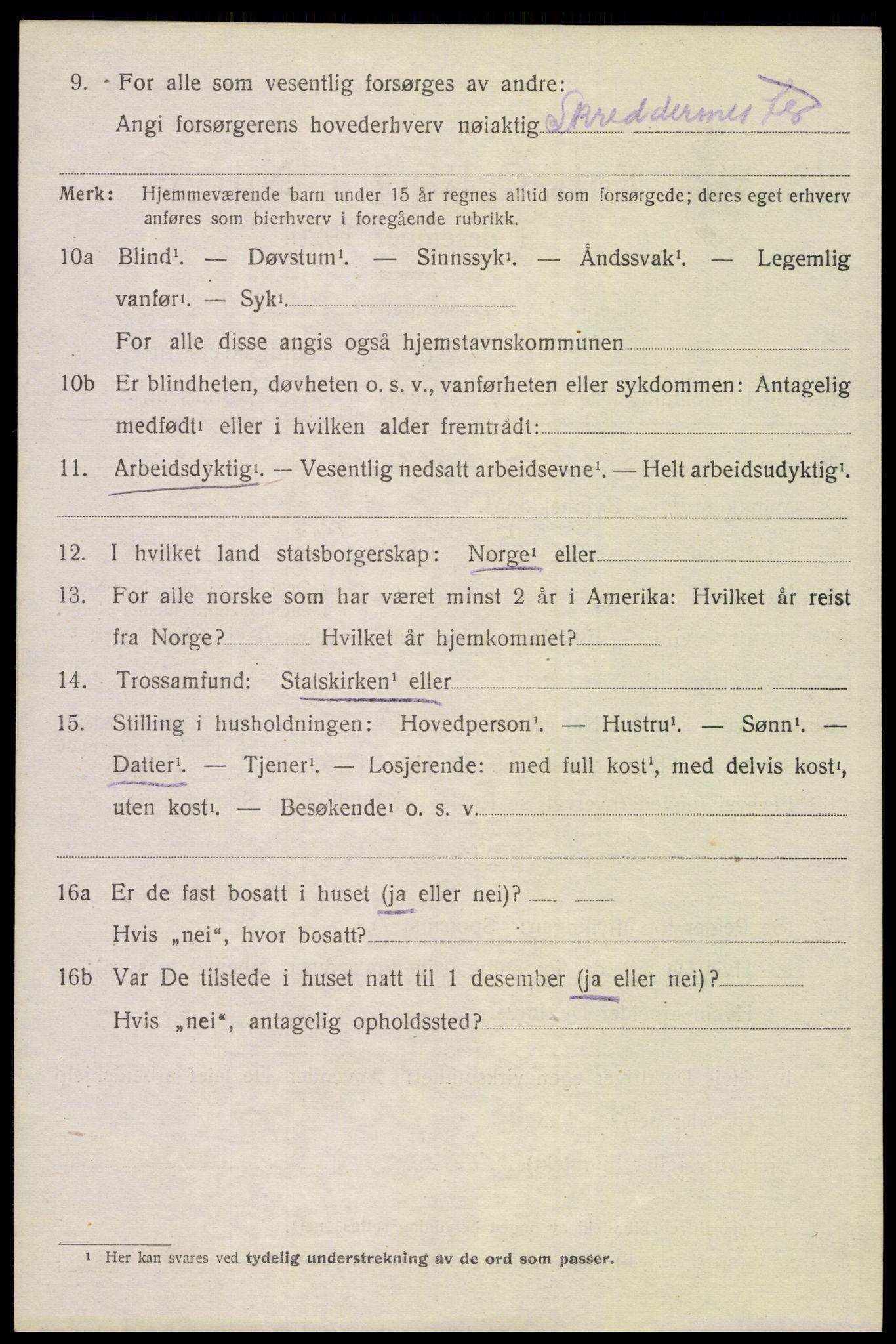 SAH, 1920 census for Åsnes, 1920, p. 13413