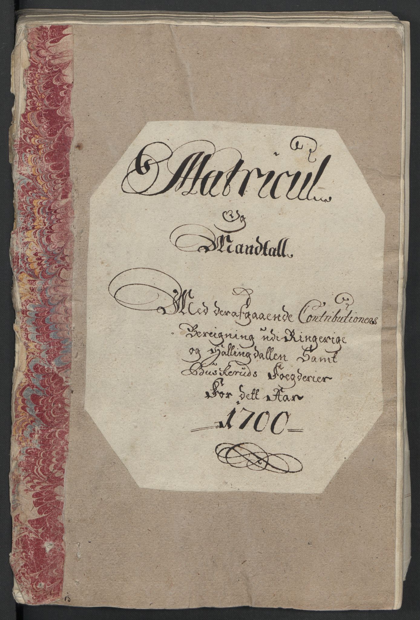 Rentekammeret inntil 1814, Reviderte regnskaper, Fogderegnskap, RA/EA-4092/R22/L1457: Fogderegnskap Ringerike, Hallingdal og Buskerud, 1700, p. 218