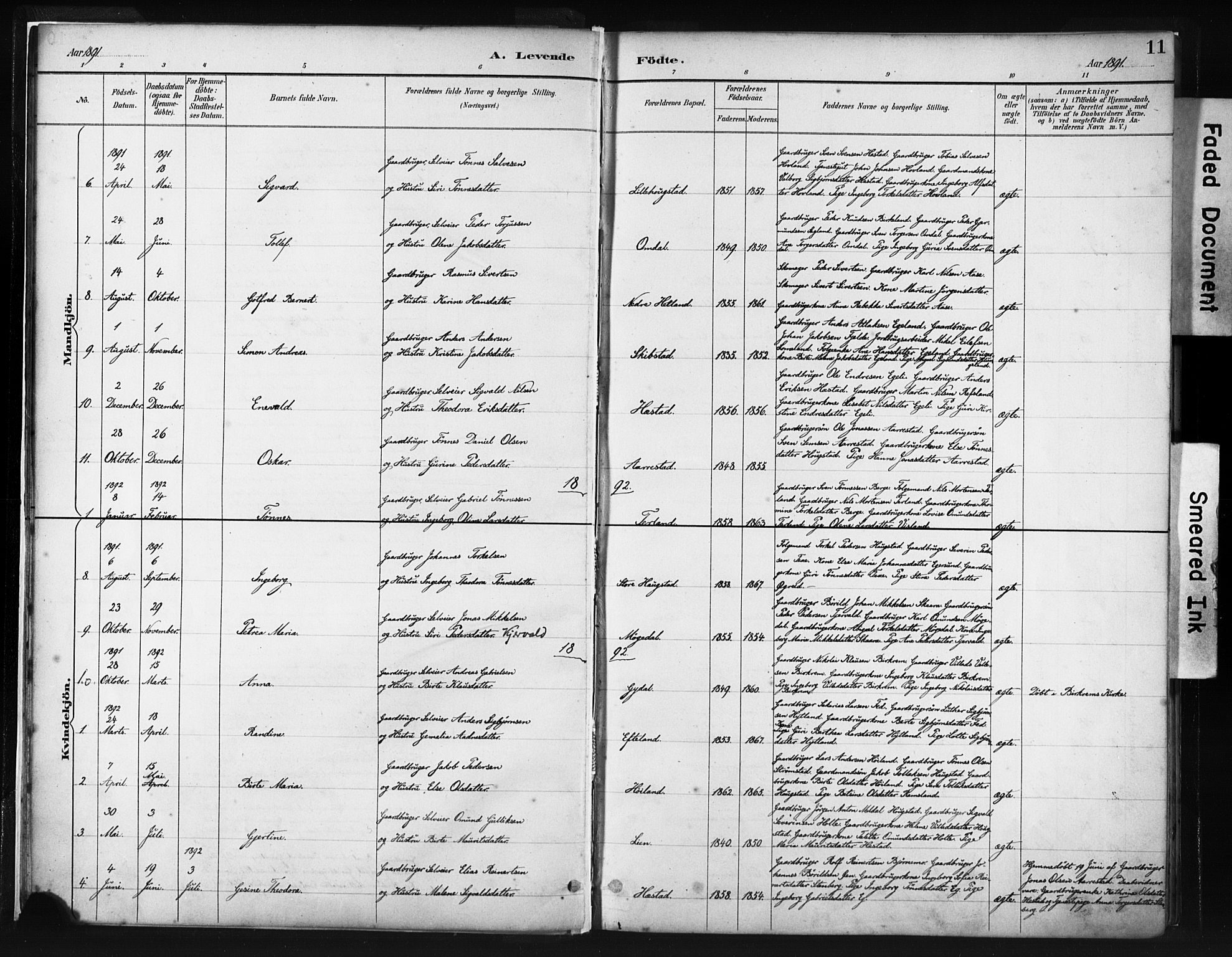 Helleland sokneprestkontor, AV/SAST-A-101810: Parish register (official) no. A 8, 1887-1907, p. 11